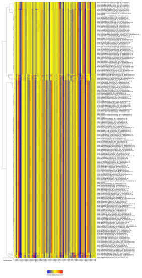Viruses 12 00498 g0a2