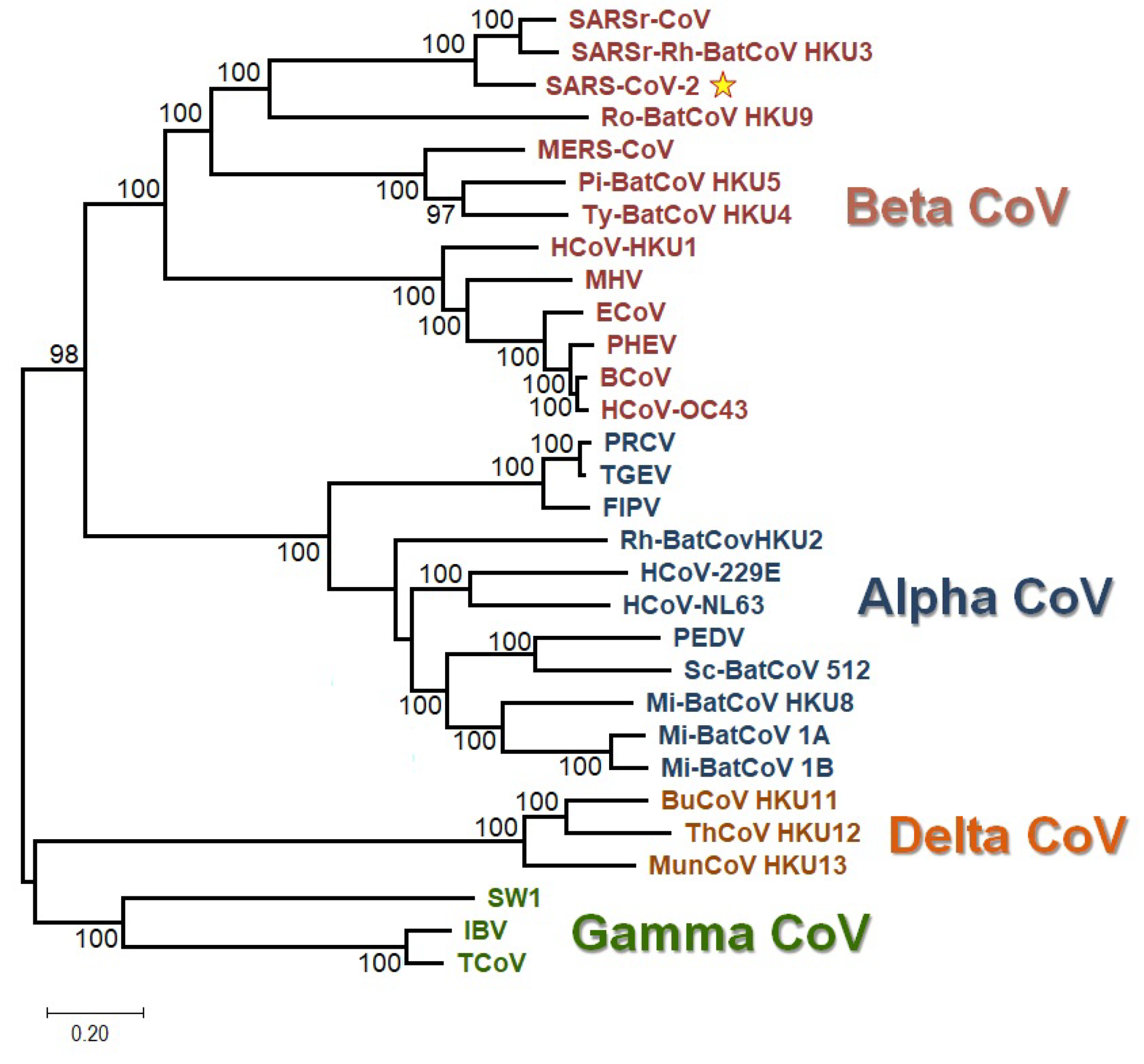 Viruses 12 00498 g0a3