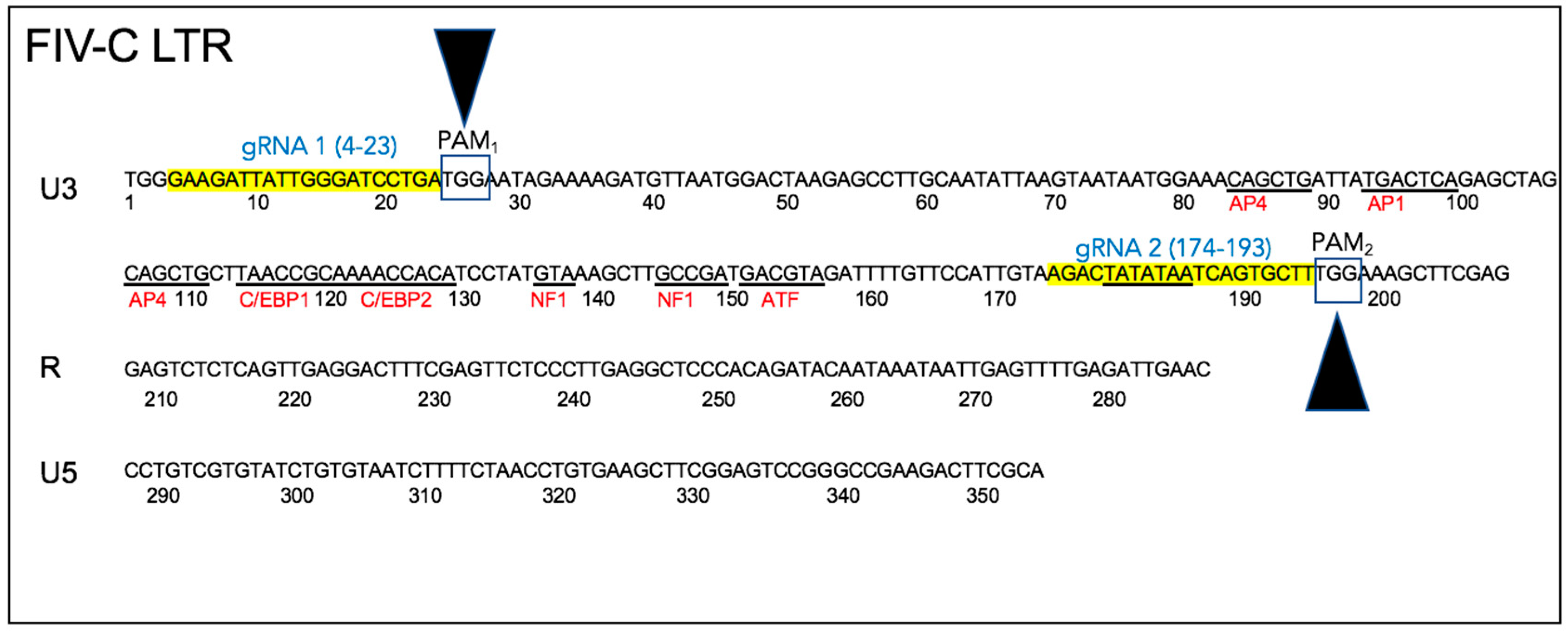 Viruses 12 00511 g002