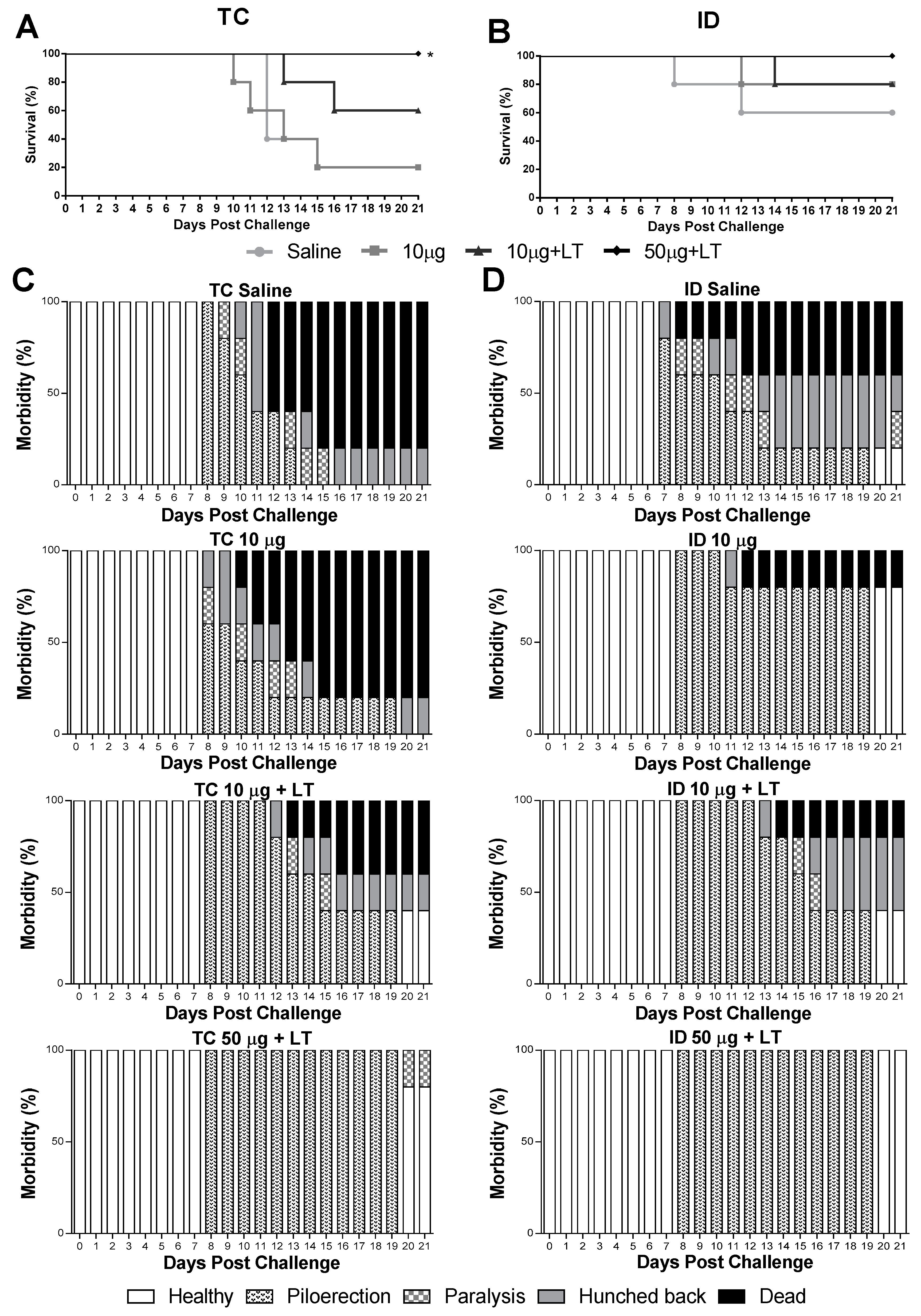 Viruses 12 00514 g004