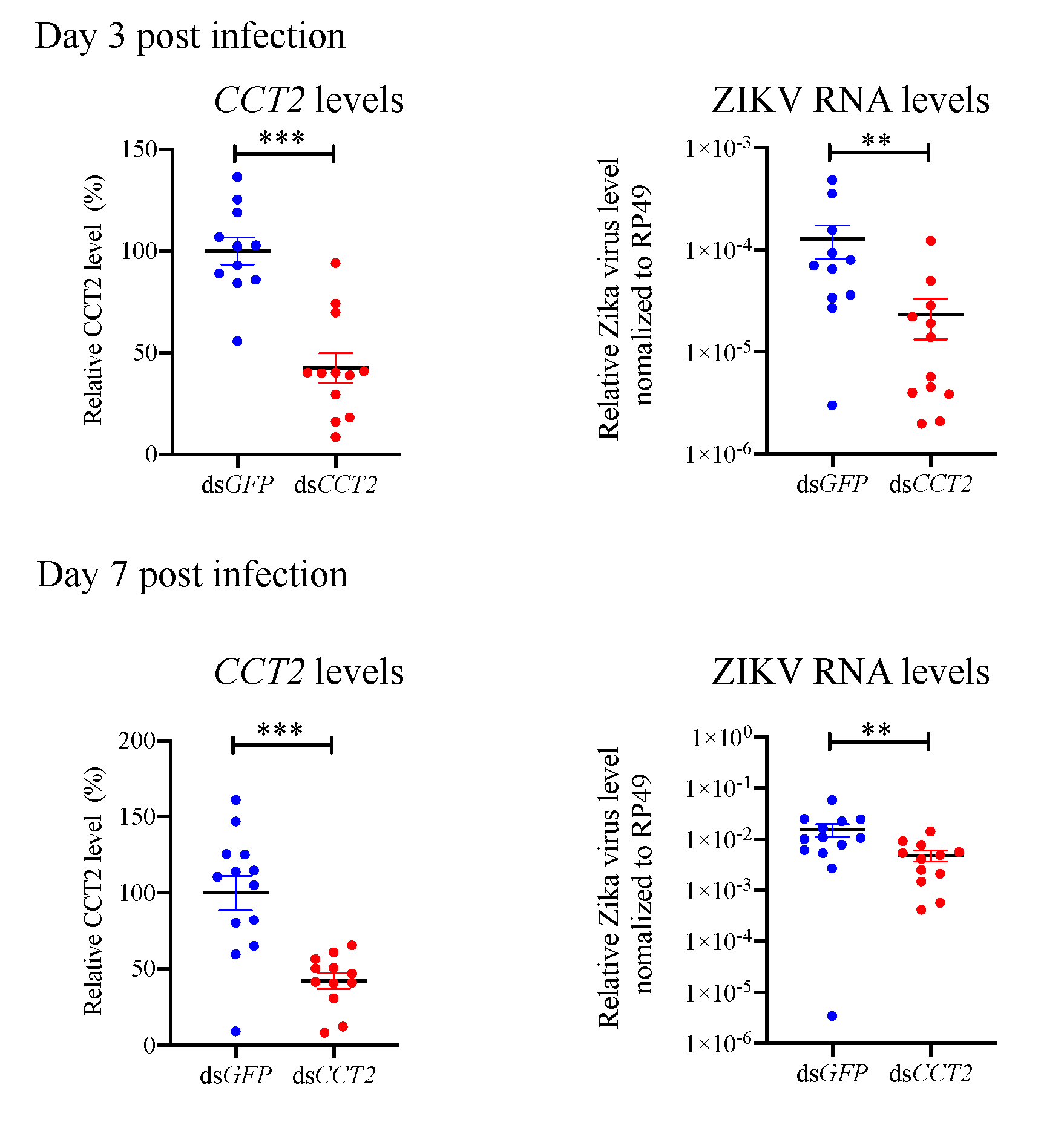 Viruses 12 00519 g006