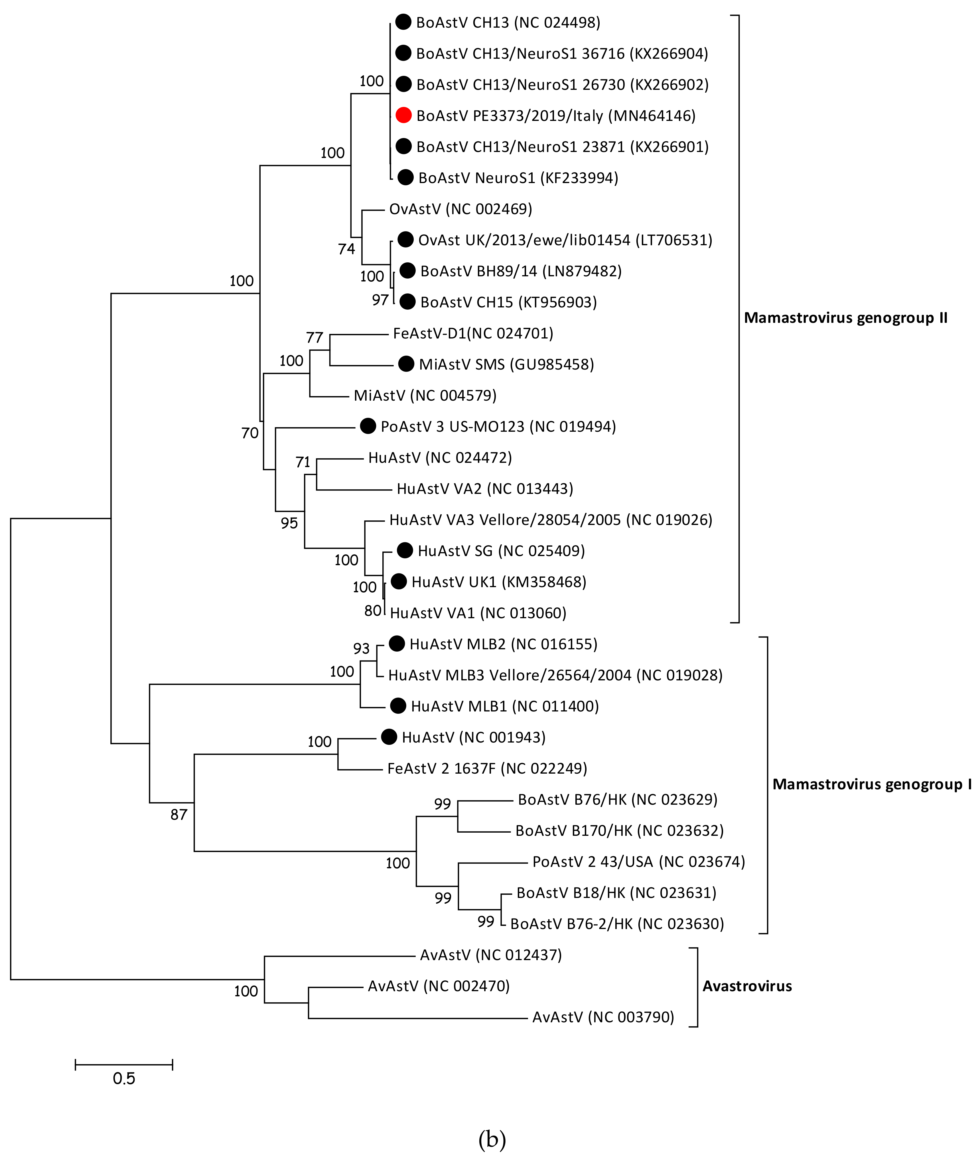 Viruses 12 00530 g002b