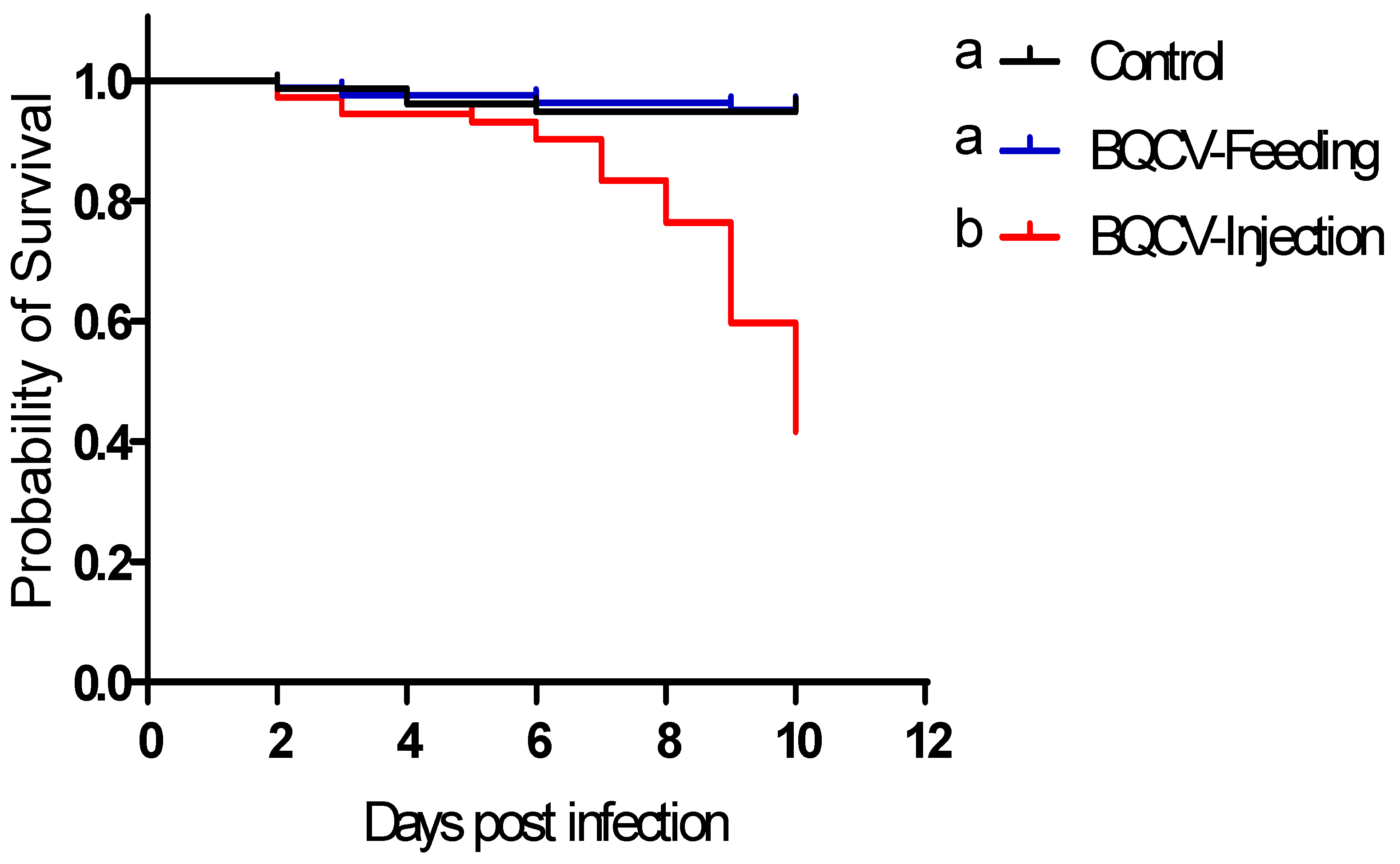 Viruses 12 00535 g001