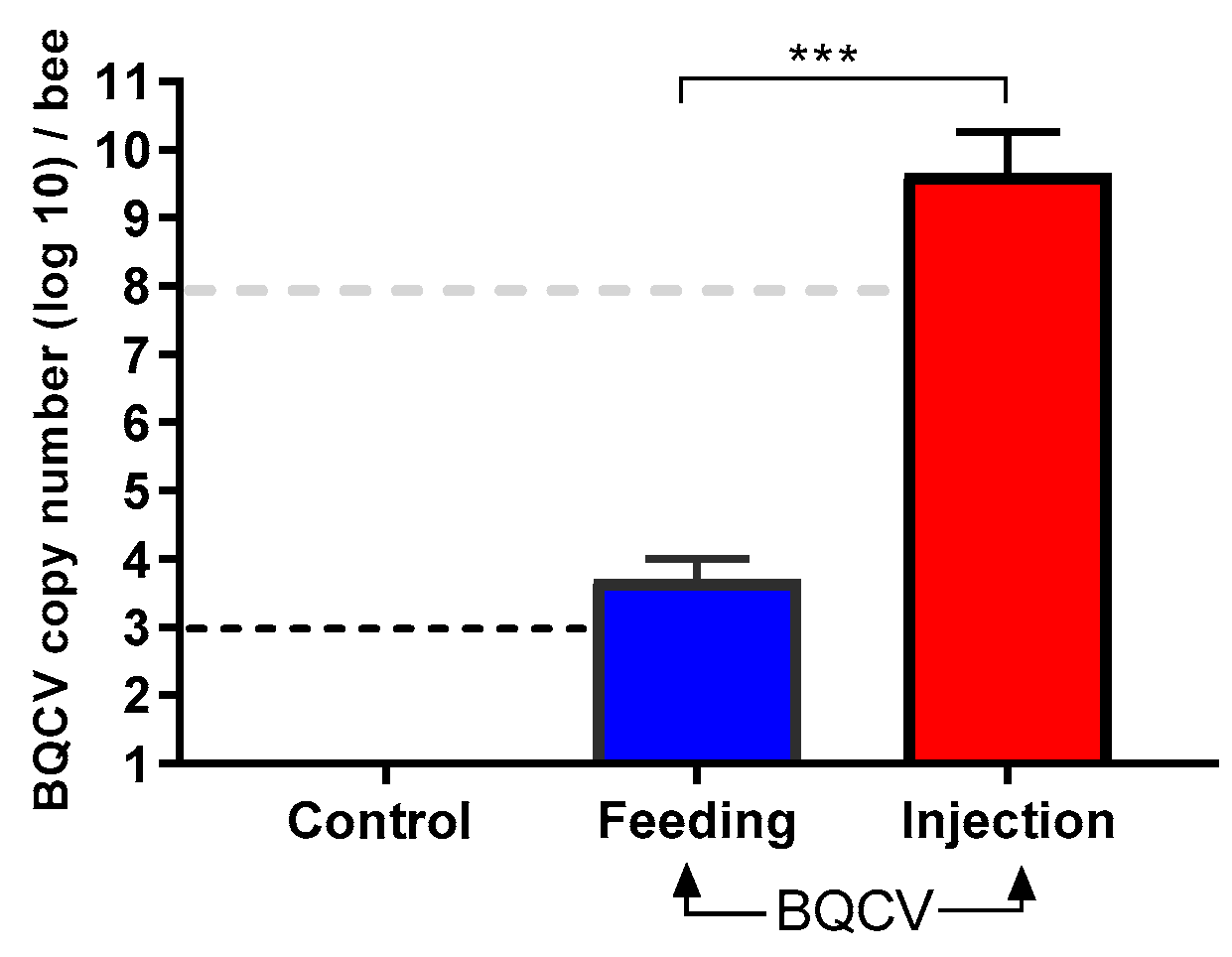Viruses 12 00535 g002
