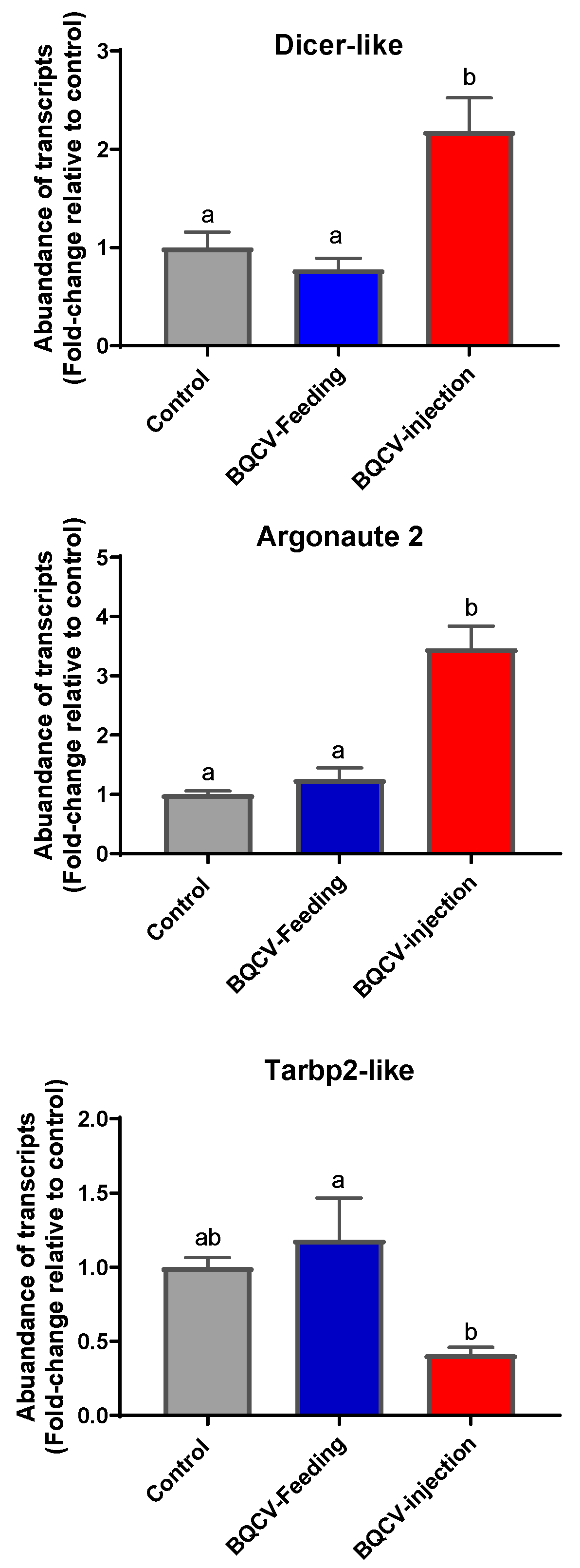 Viruses 12 00535 g003