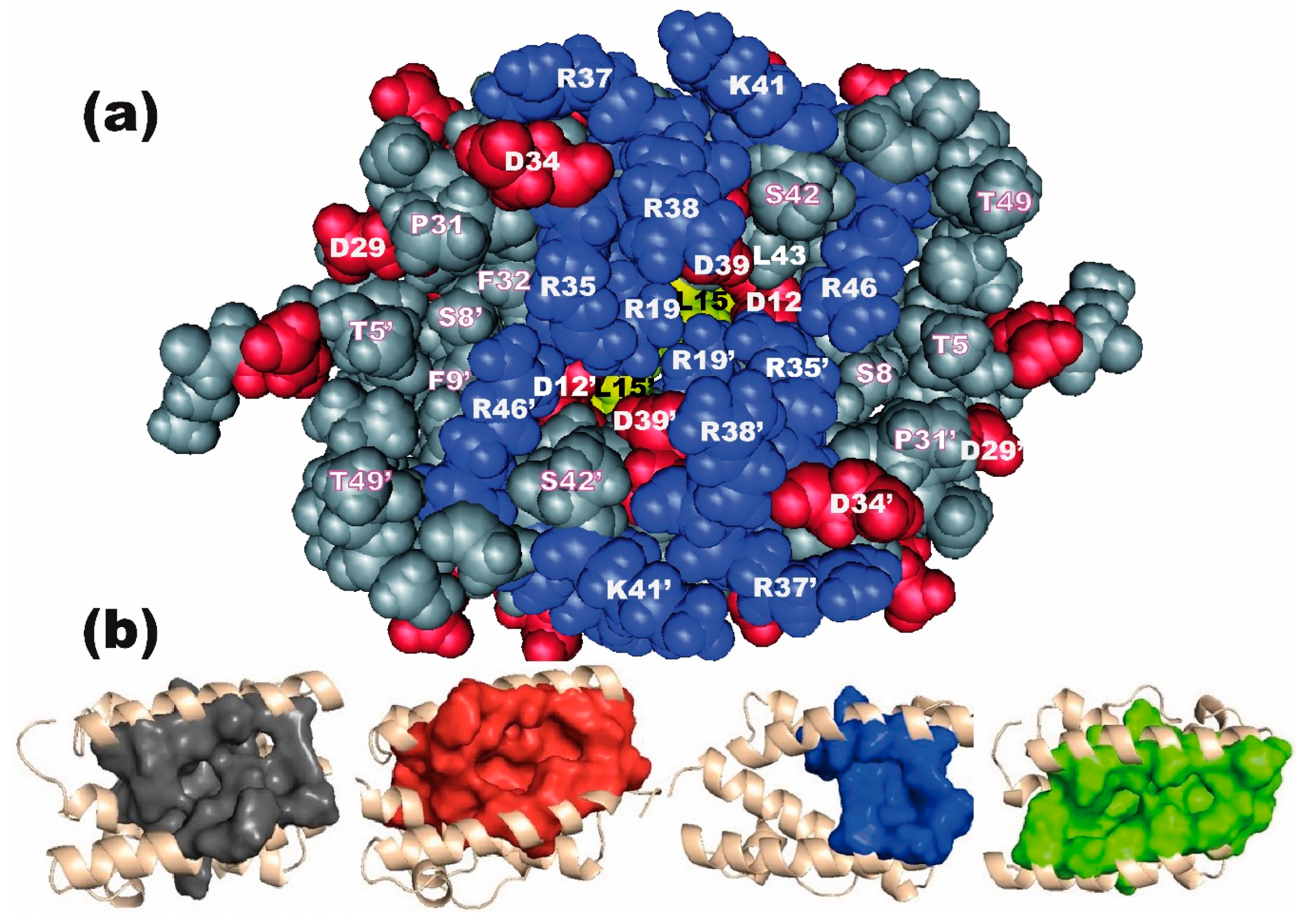 Viruses 12 00537 g007