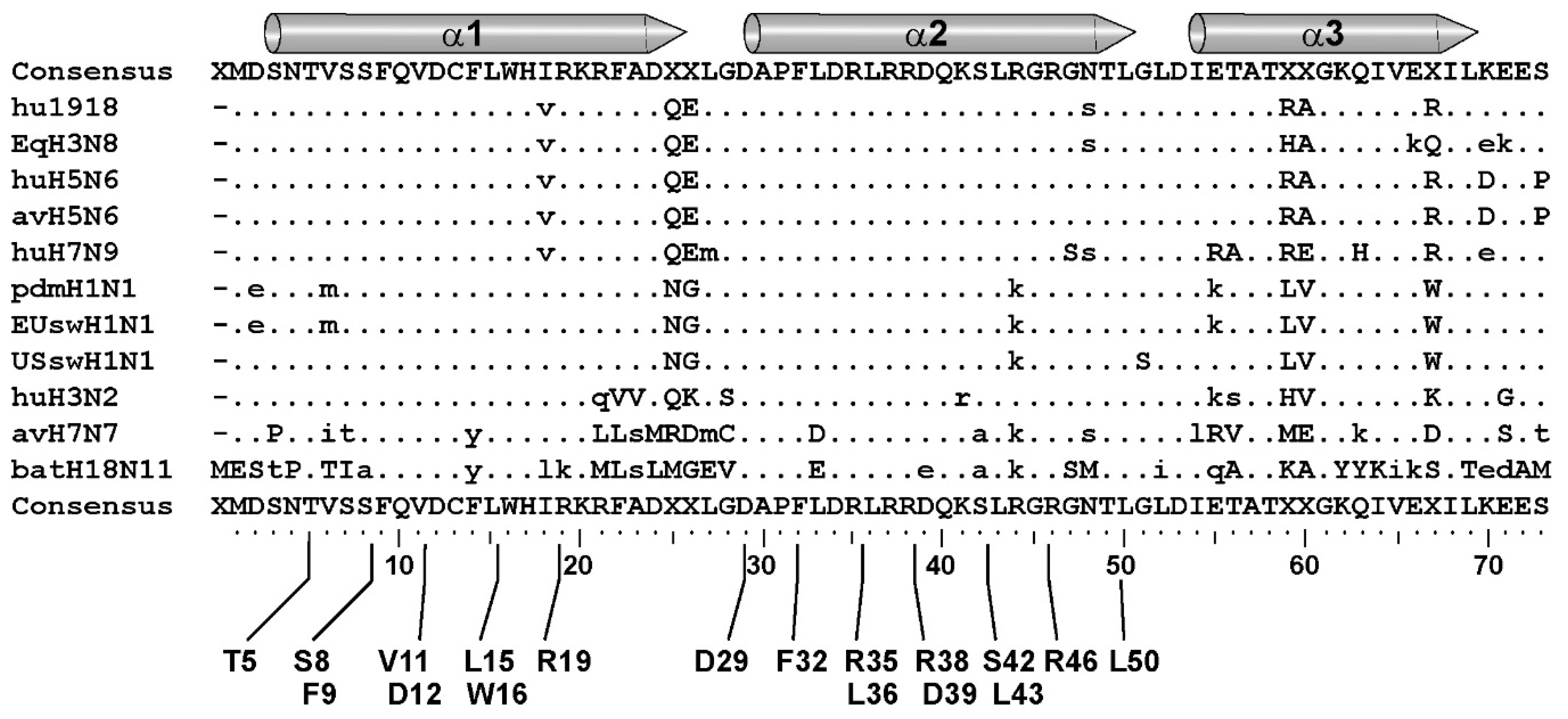 Viruses 12 00537 g008
