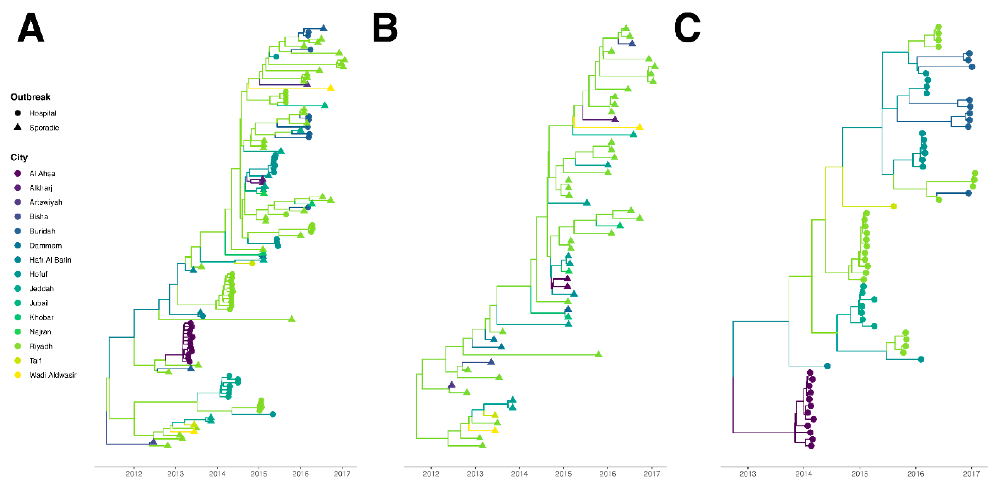 Viruses 12 00540 g001