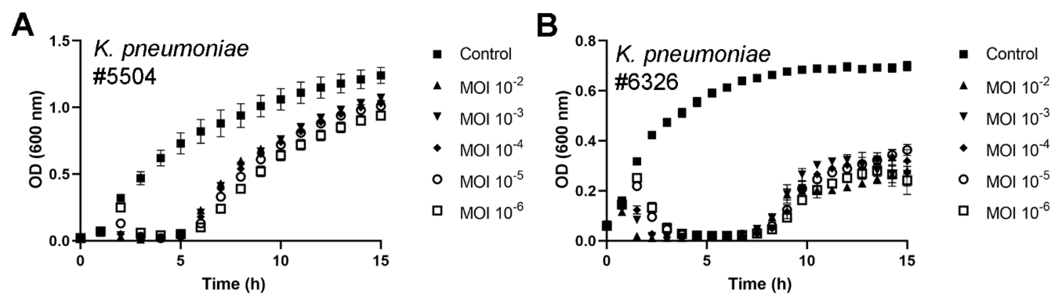 Viruses 12 00544 g003 Viruses 12 00544 g003