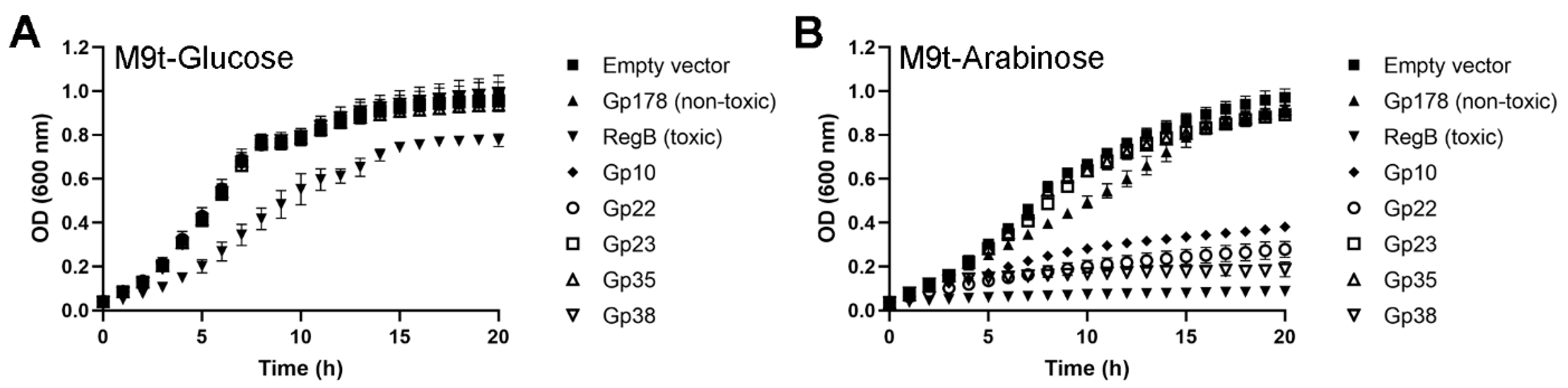 Viruses 12 00544 g005 Viruses 12 00544 g005