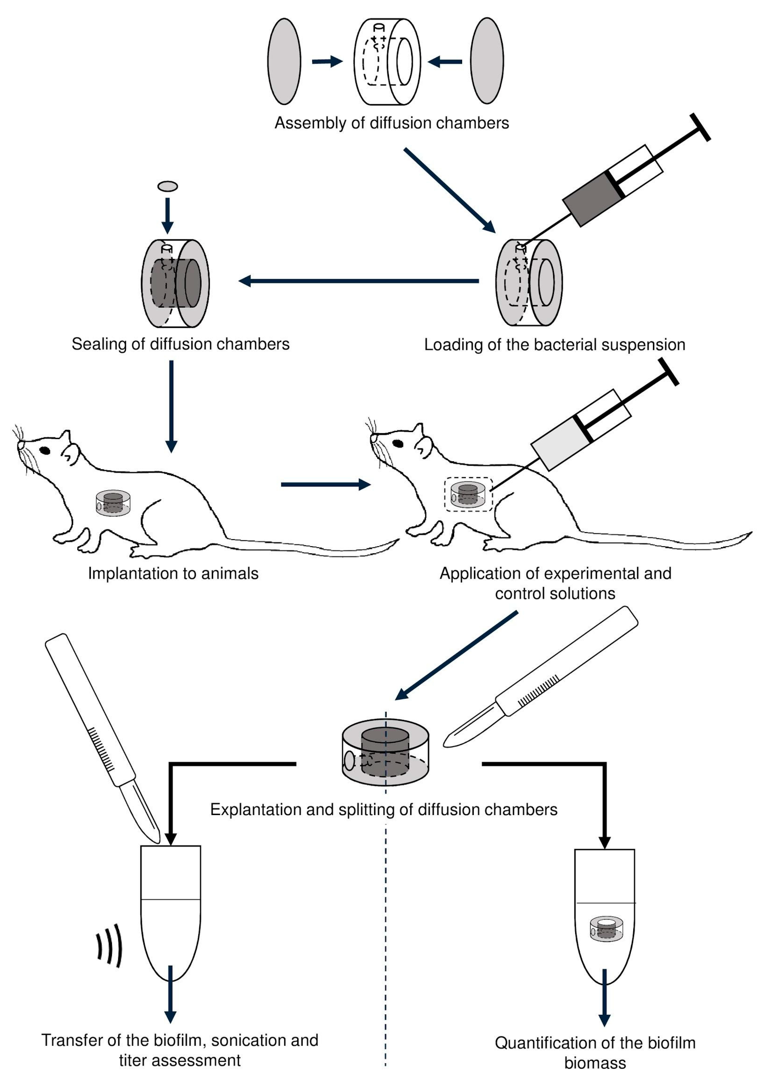 Viruses 12 00545 g001 Viruses 12 00545 g001