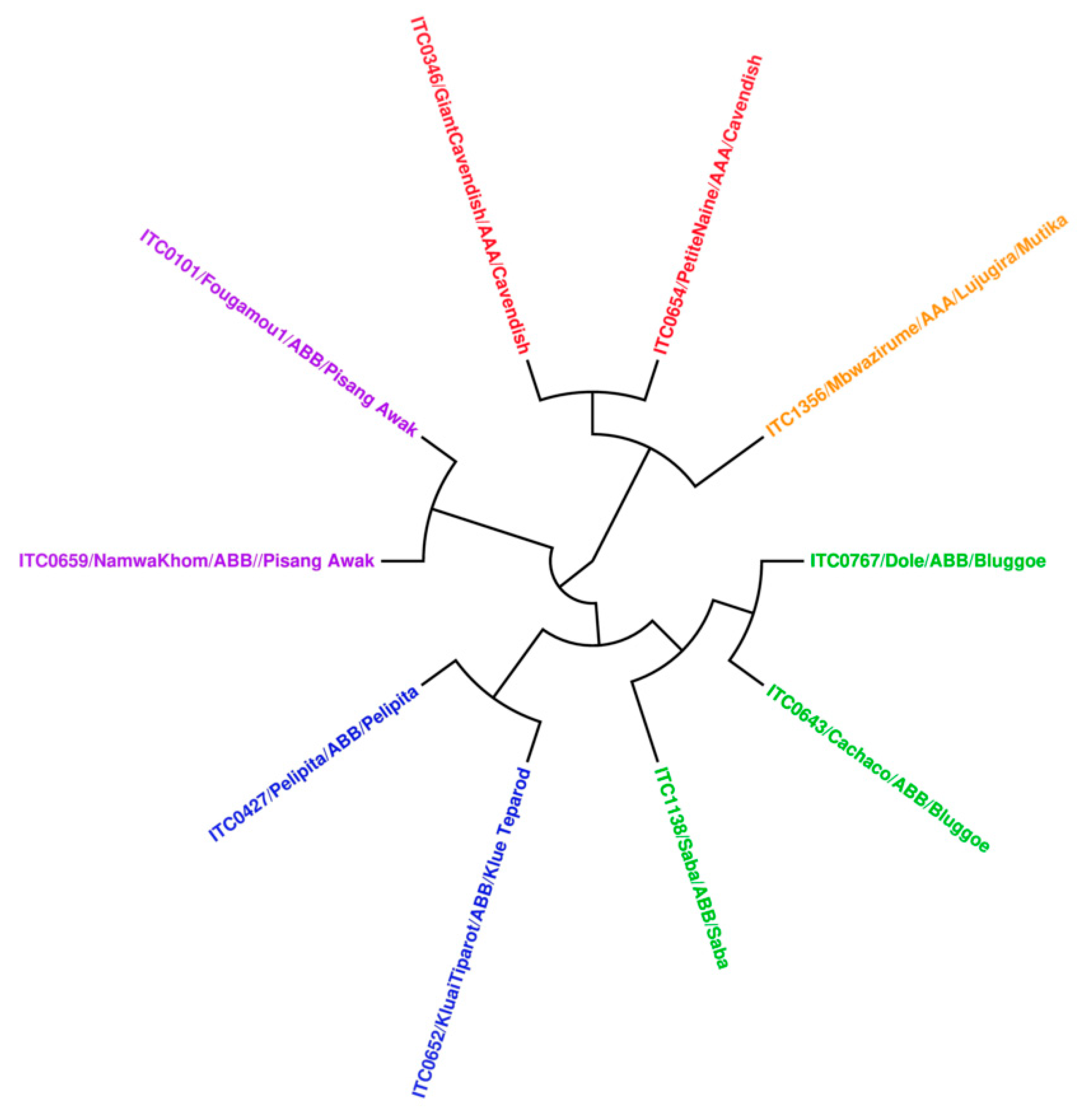 Viruses 12 00549 g006