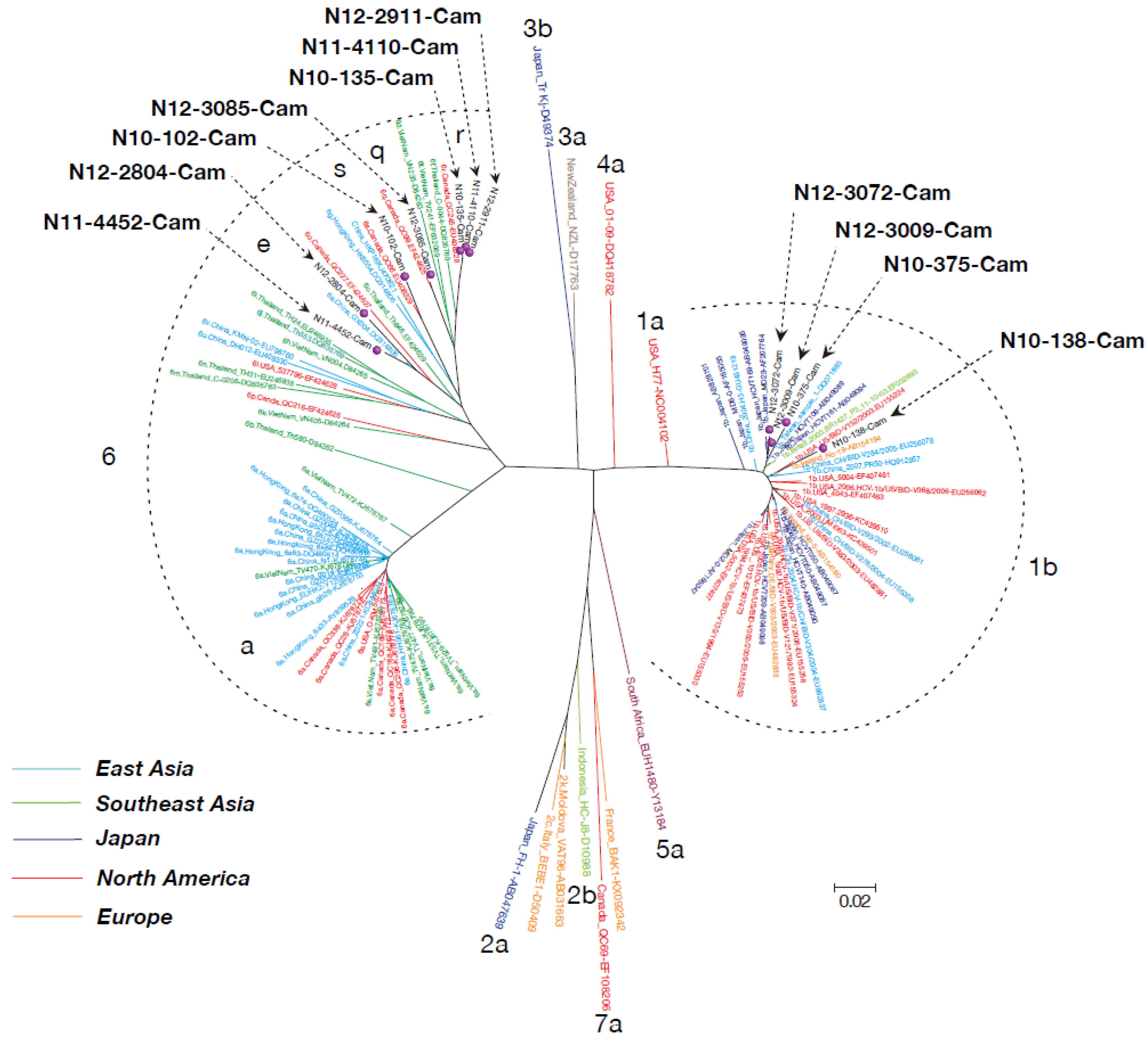 Viruses 12 00551 g001 Viruses 12 00551 g001