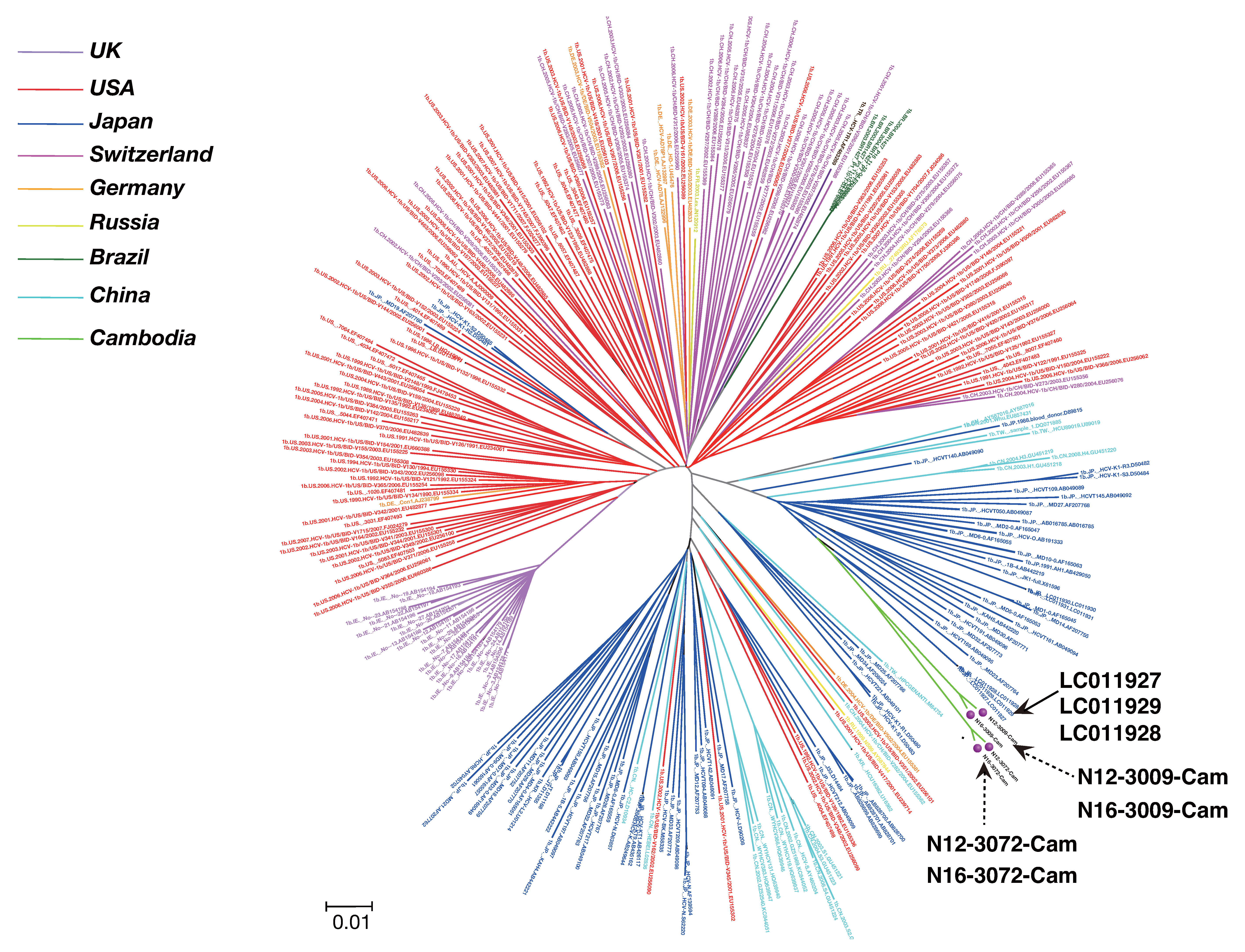 Viruses 12 00551 g002 Viruses 12 00551 g002