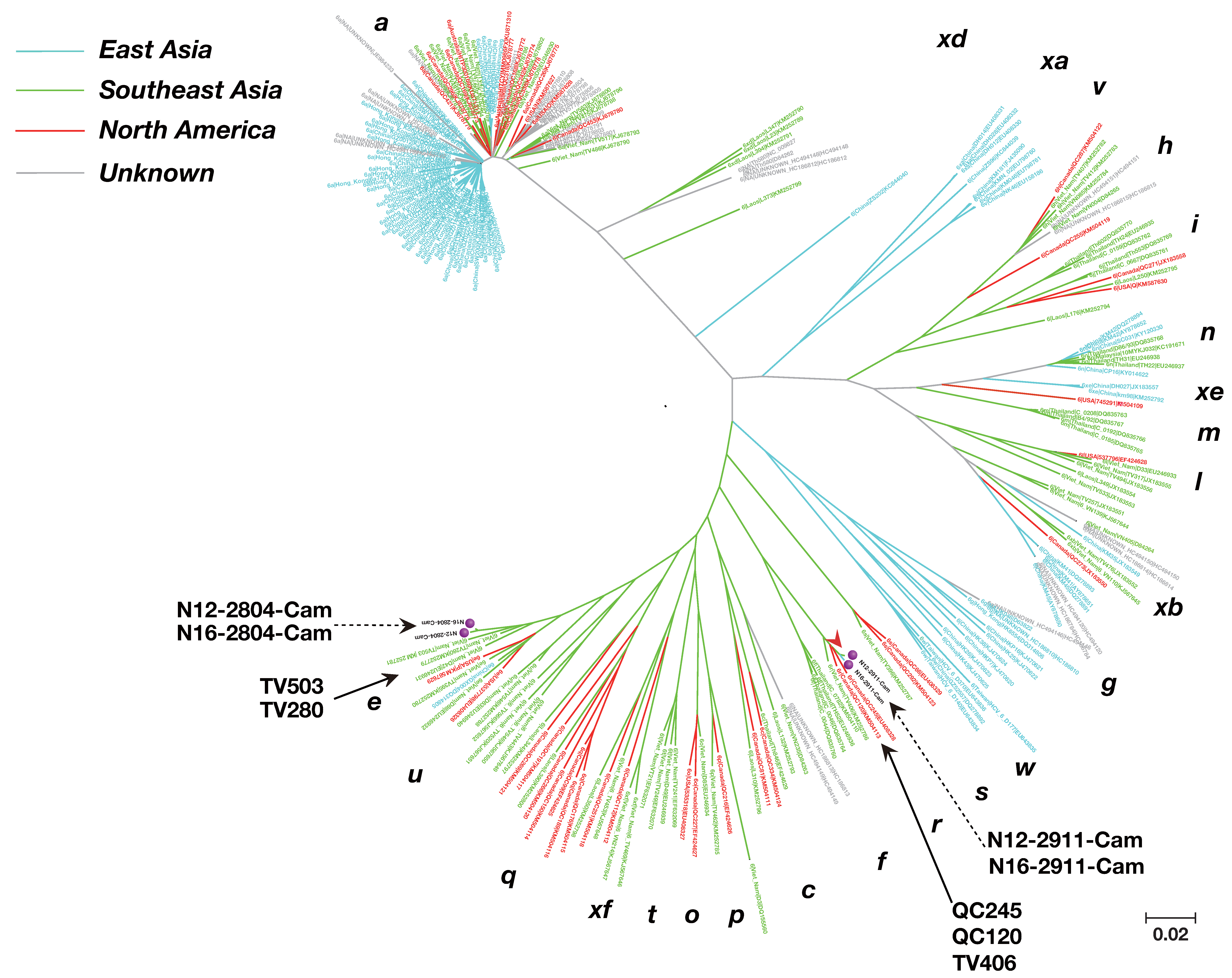 Viruses 12 00551 g003 Viruses 12 00551 g003