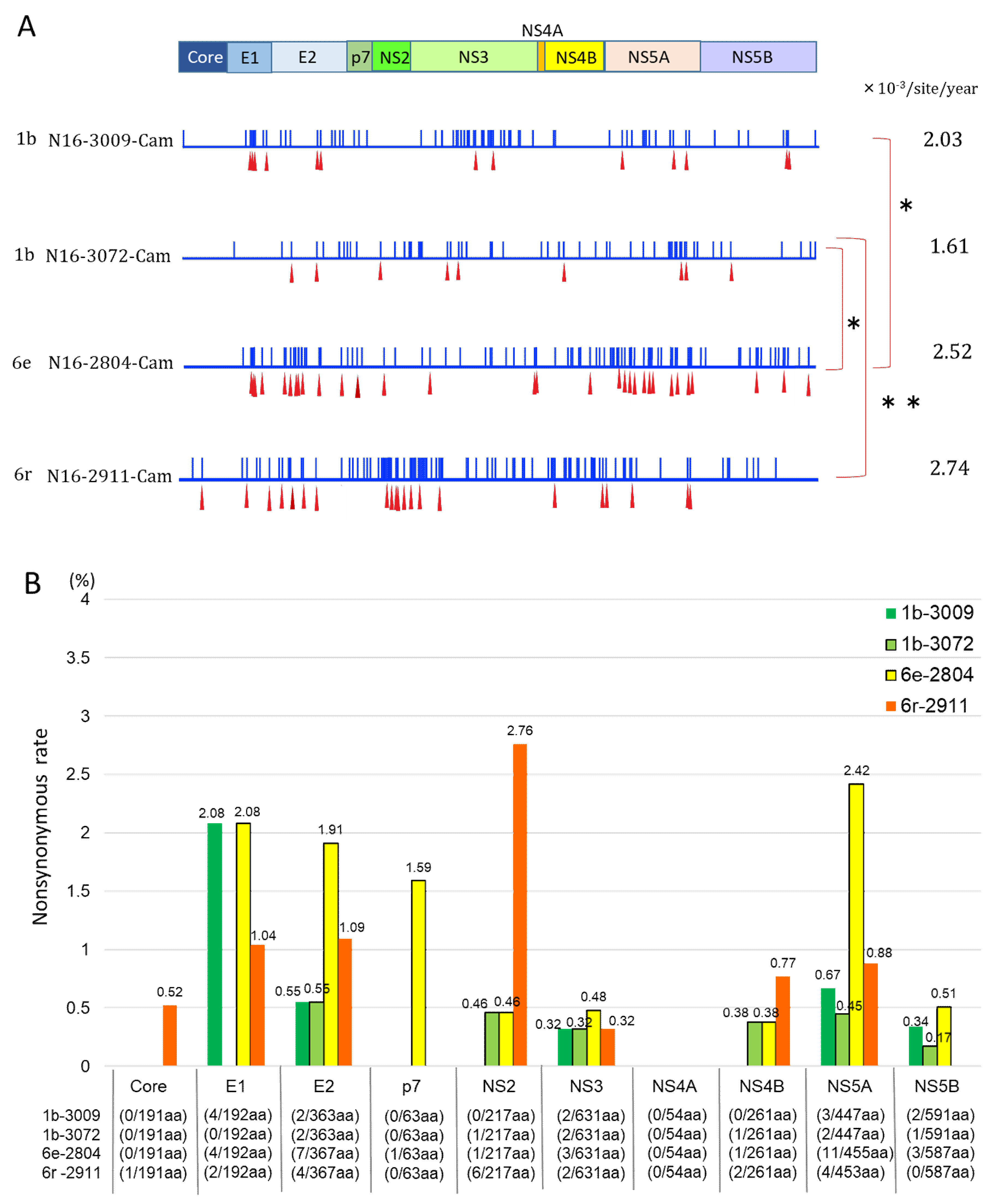 Viruses 12 00551 g004 Viruses 12 00551 g004