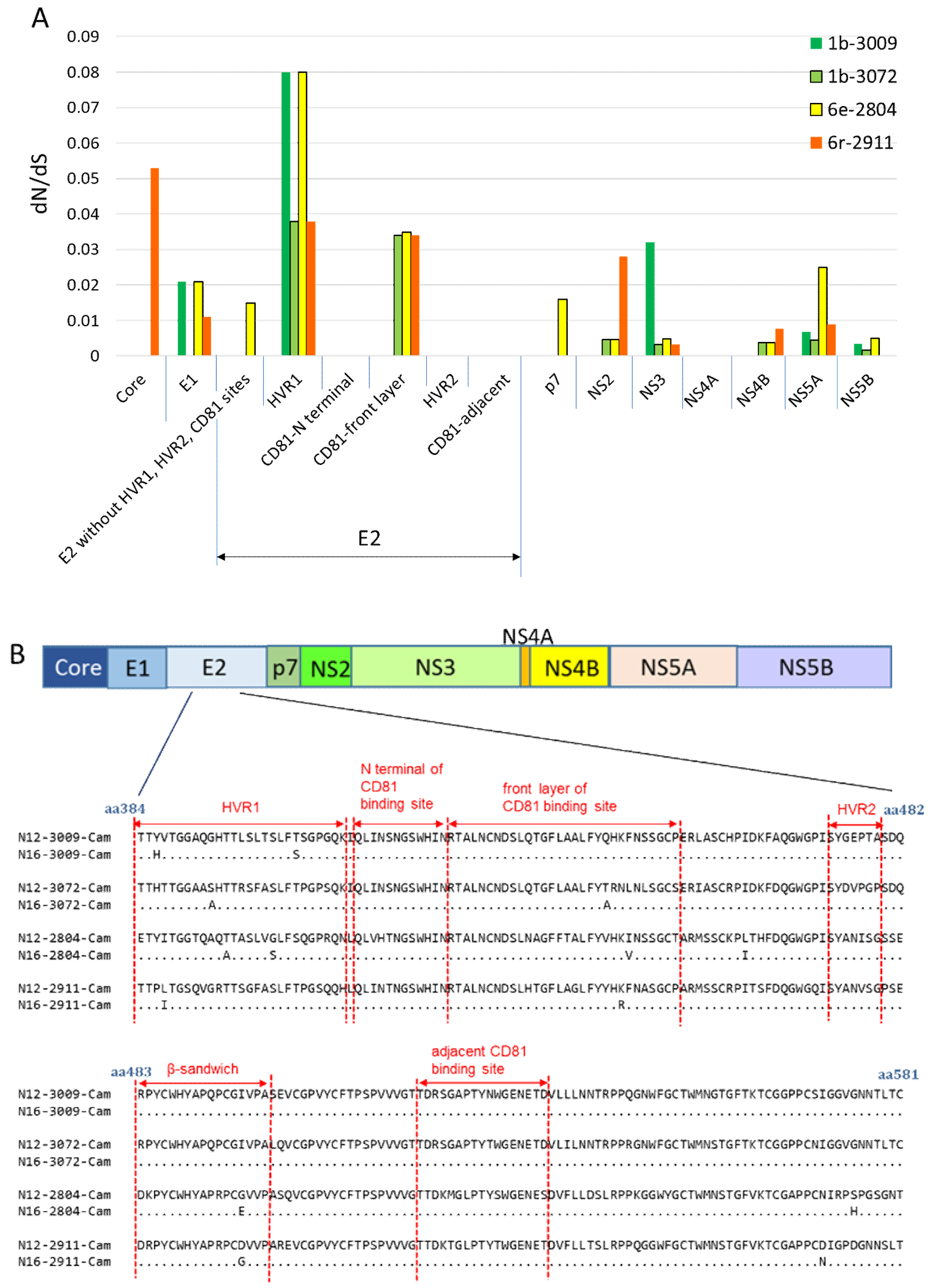 Viruses 12 00551 g005 Viruses 12 00551 g005
