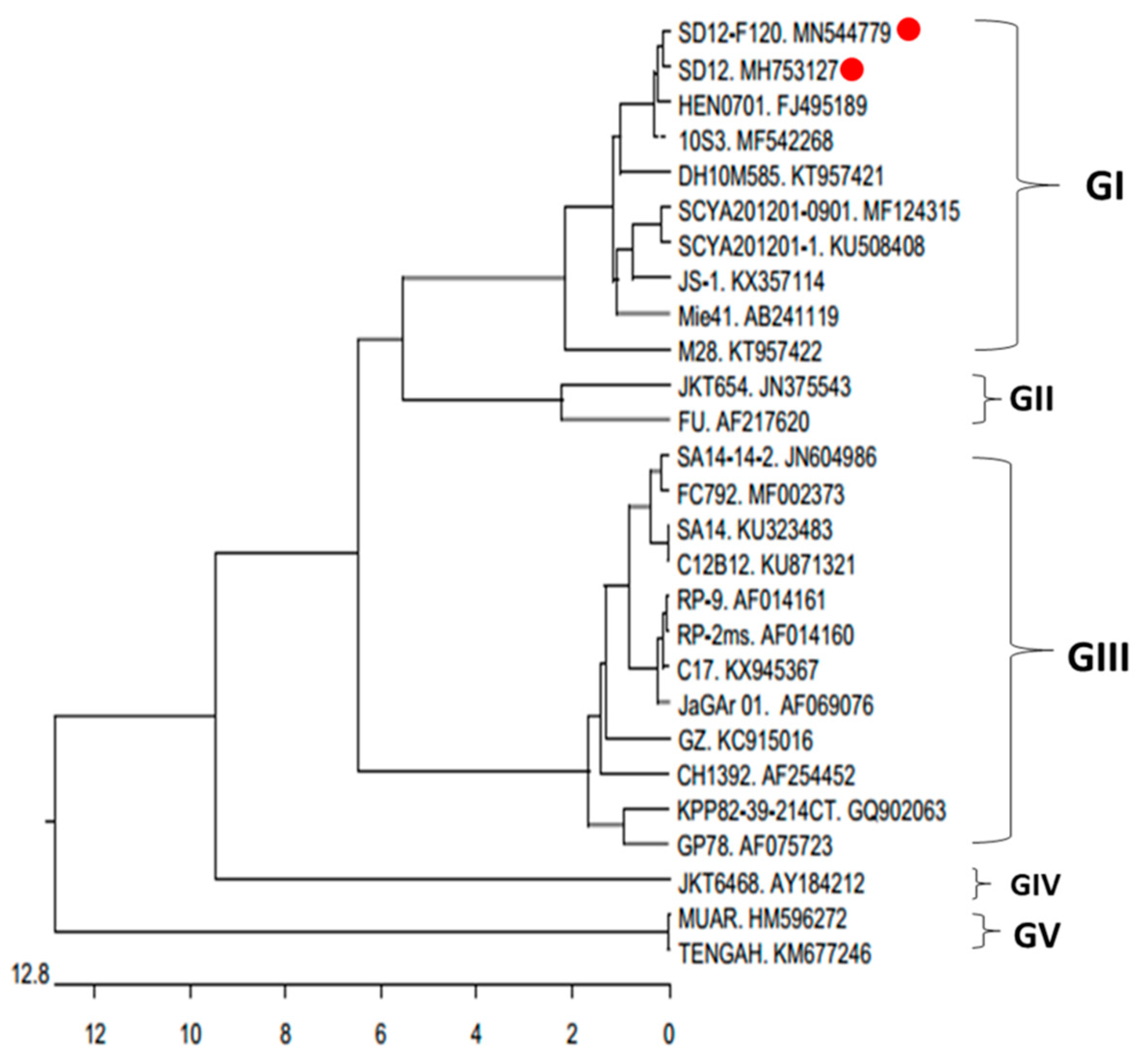 Viruses 12 00552 g005