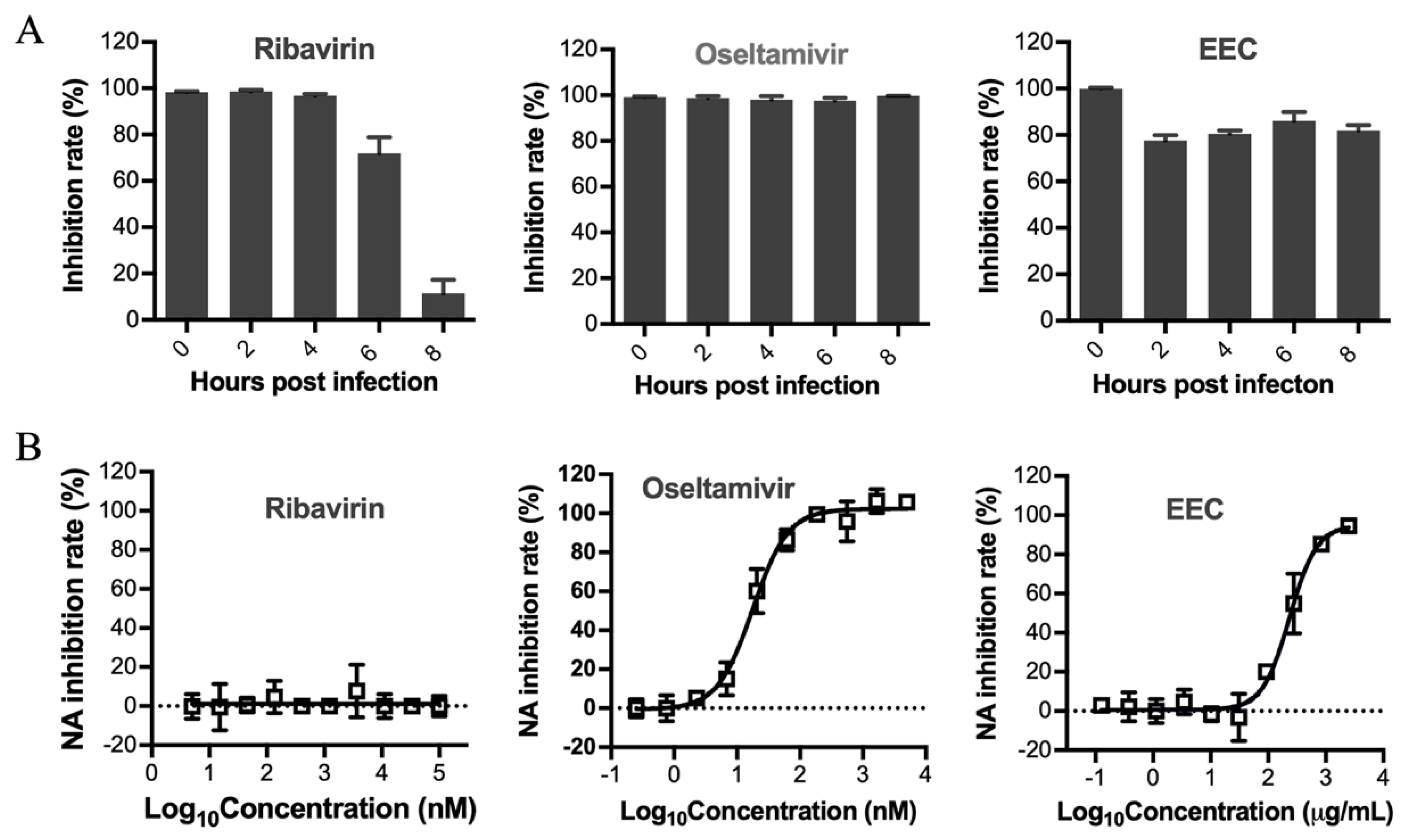 Viruses 12 00557 g003