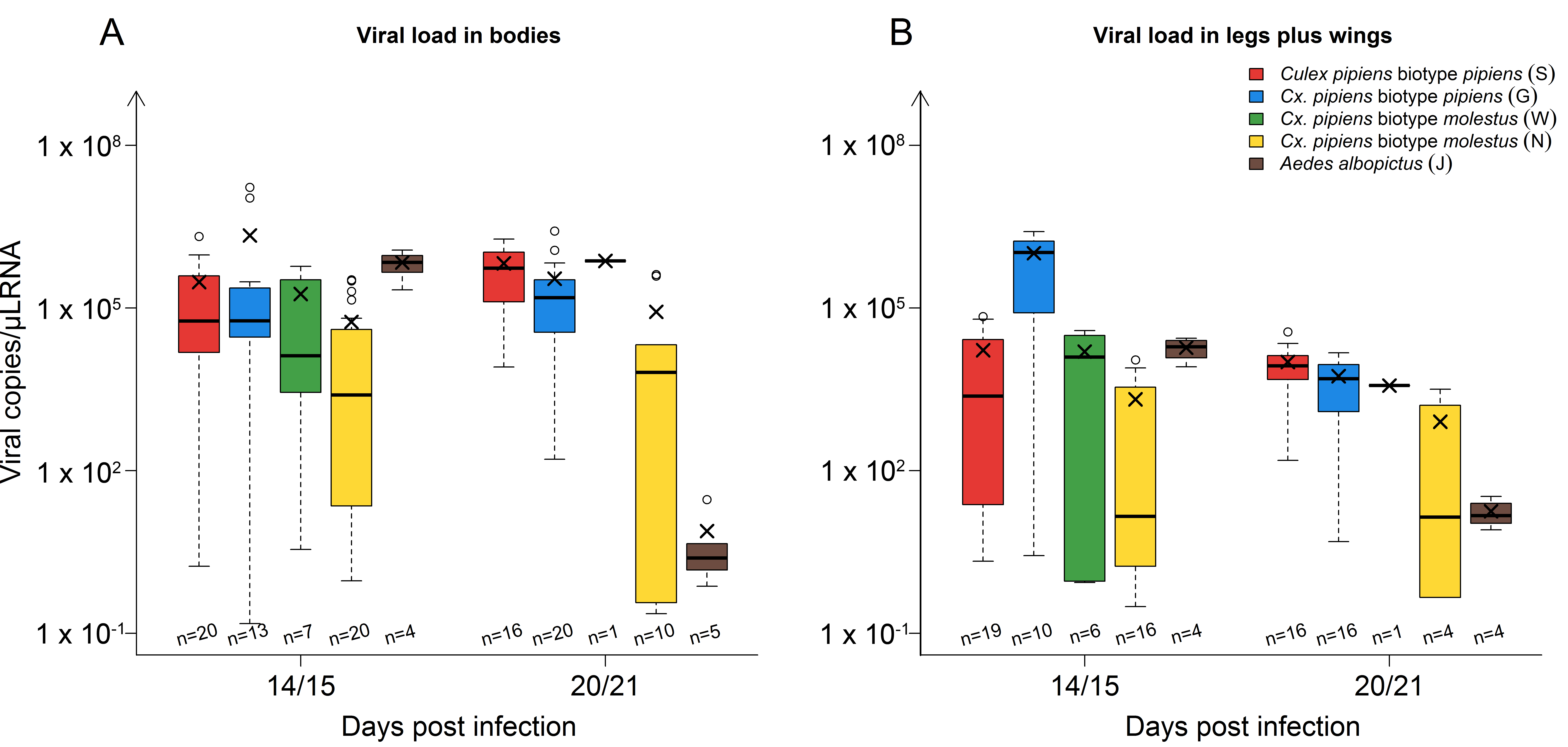 Viruses 12 00561 g002
