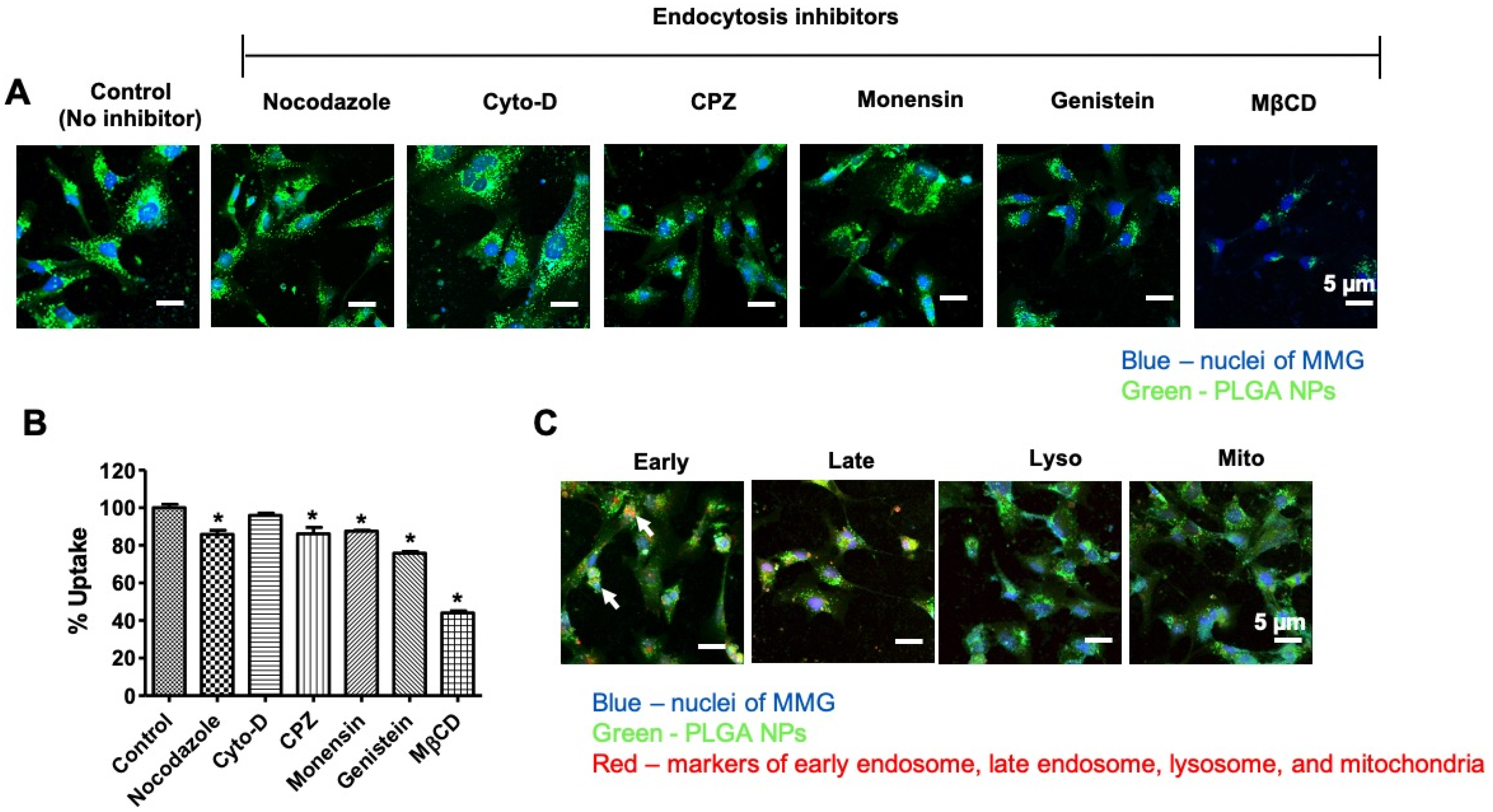 Viruses 12 00564 g002 Viruses 12 00564 g002