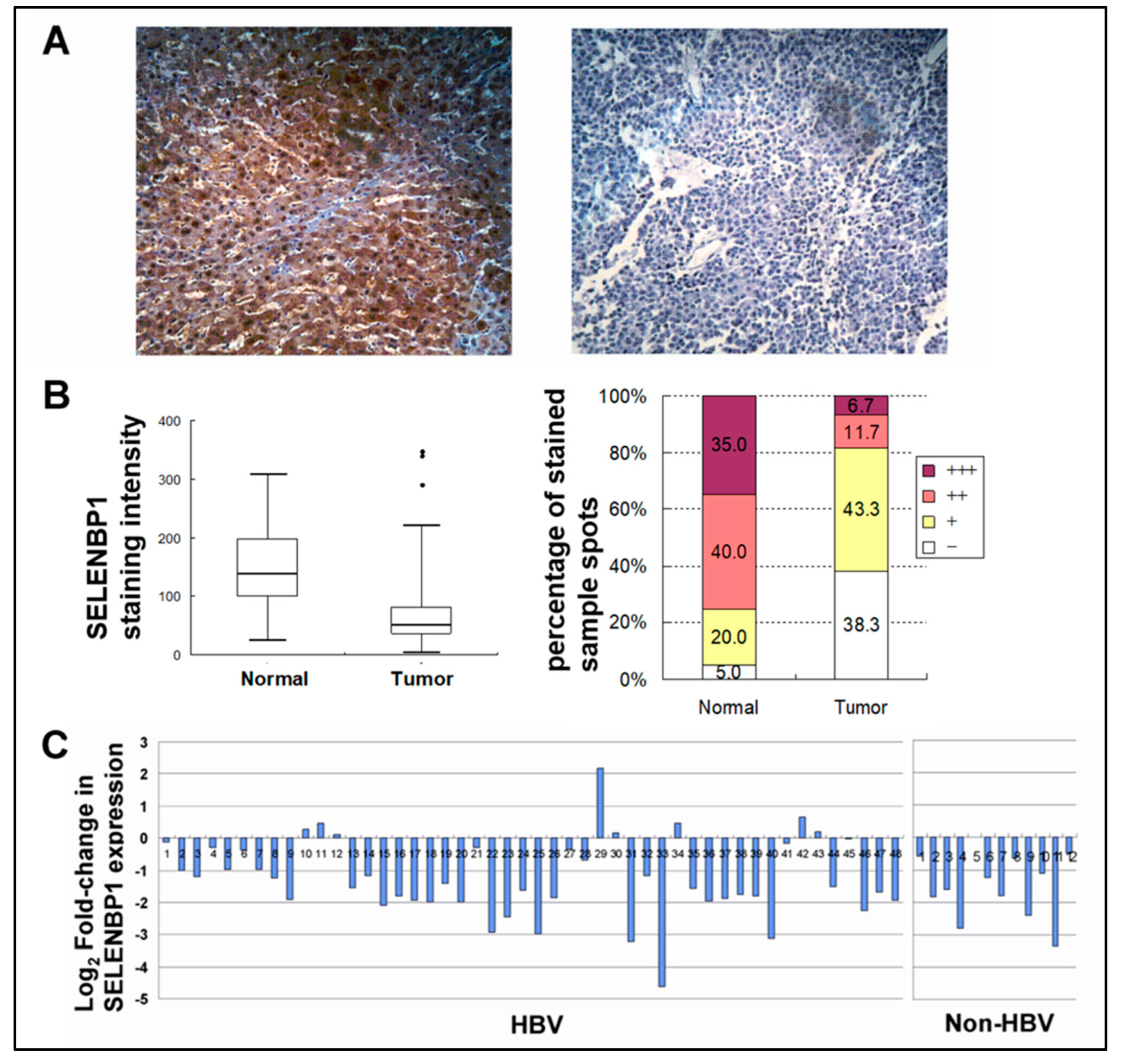 Viruses 12 00565 g003