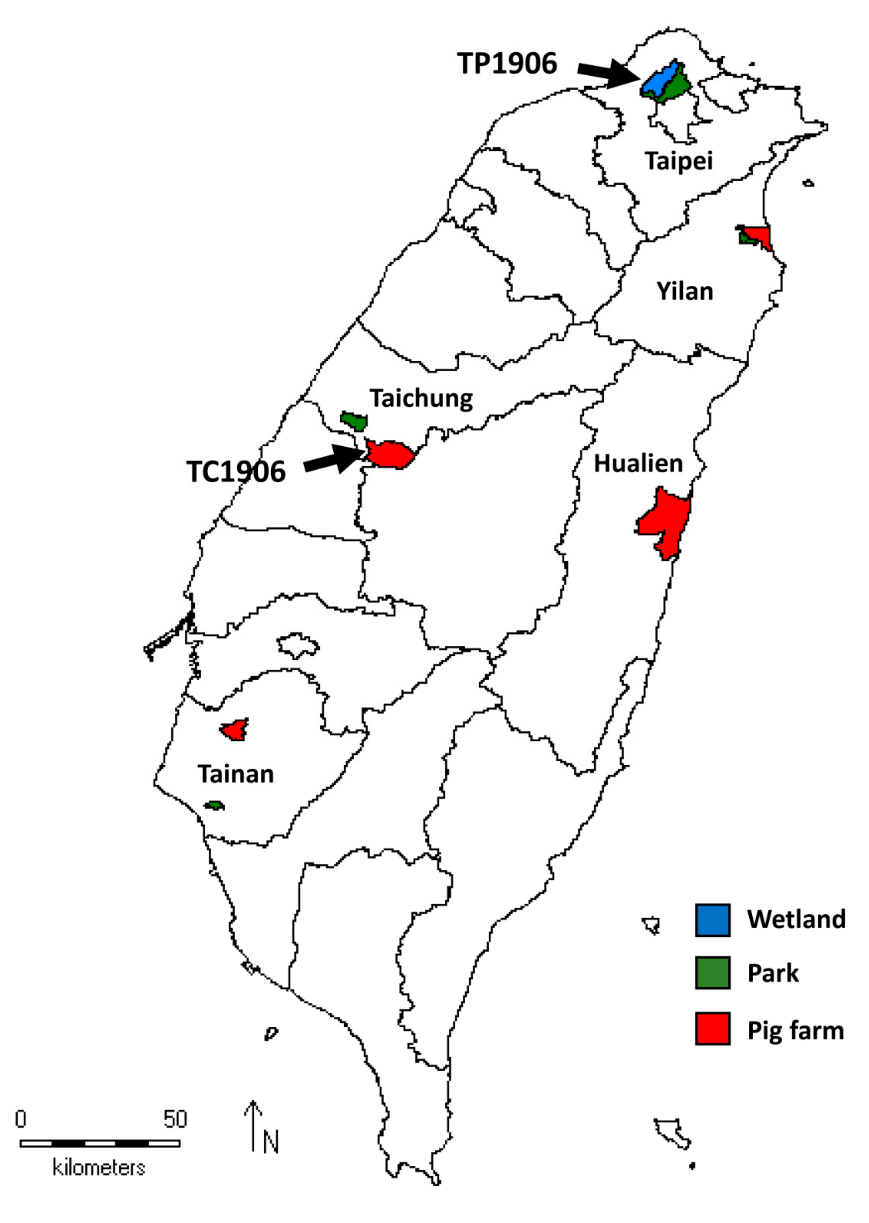 Viruses 12 00567 g001 Viruses 12 00567 g001