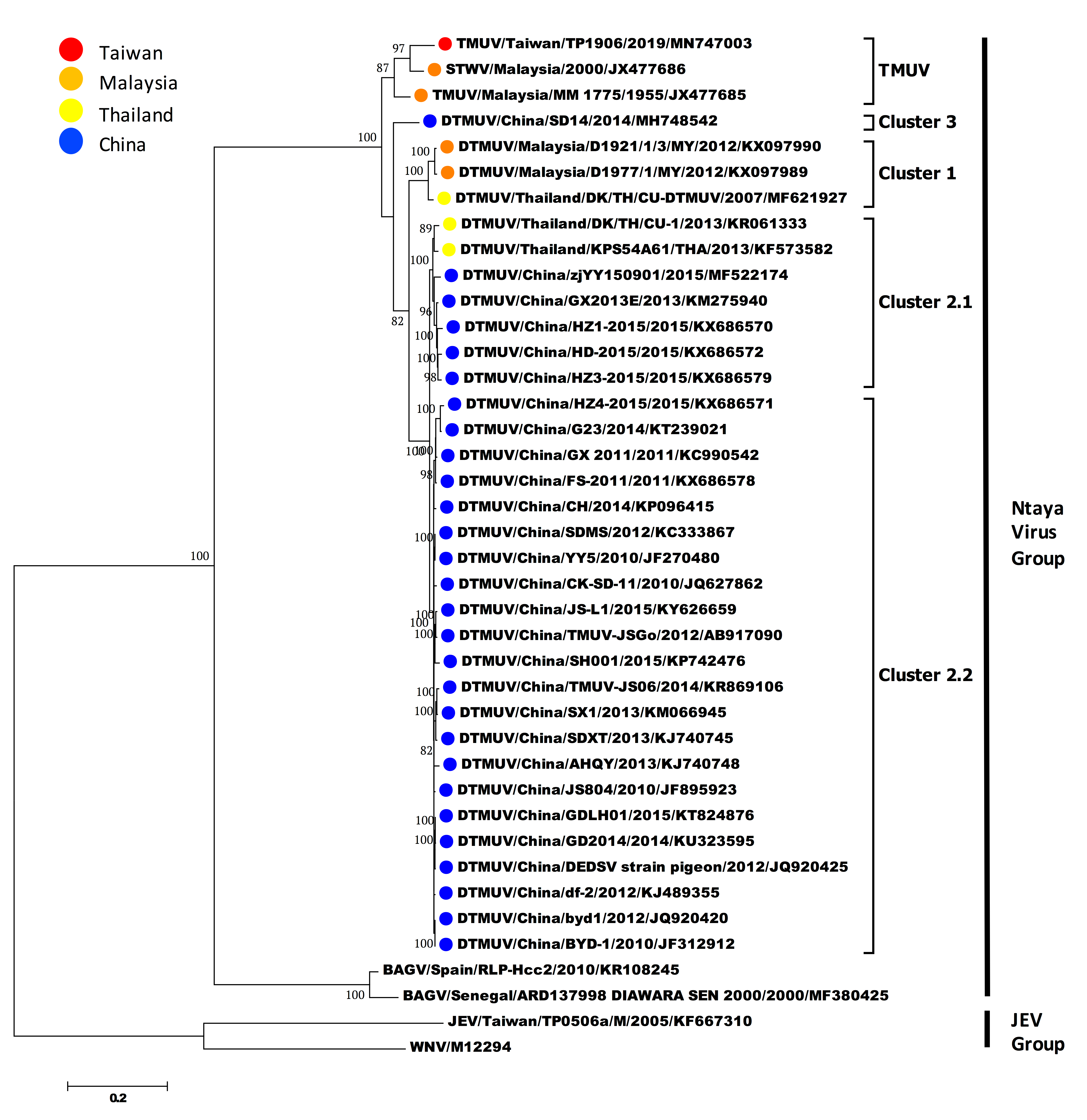 Viruses 12 00567 g003 Viruses 12 00567 g003