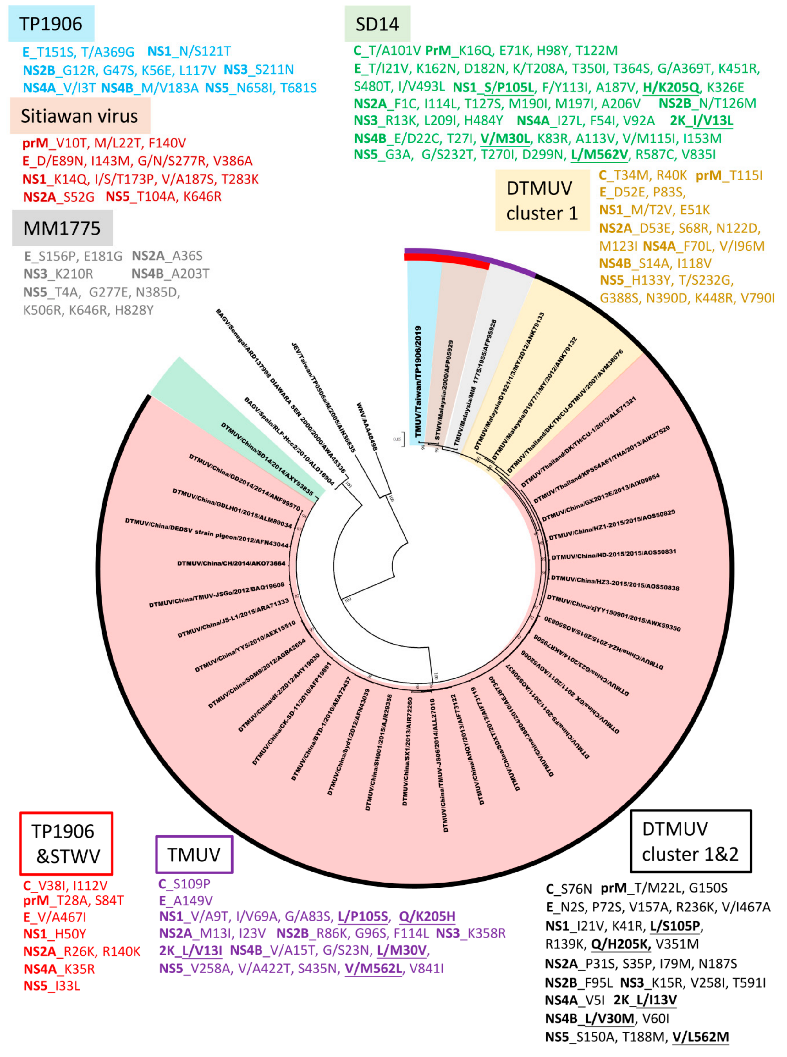 Viruses 12 00567 g004 Viruses 12 00567 g004