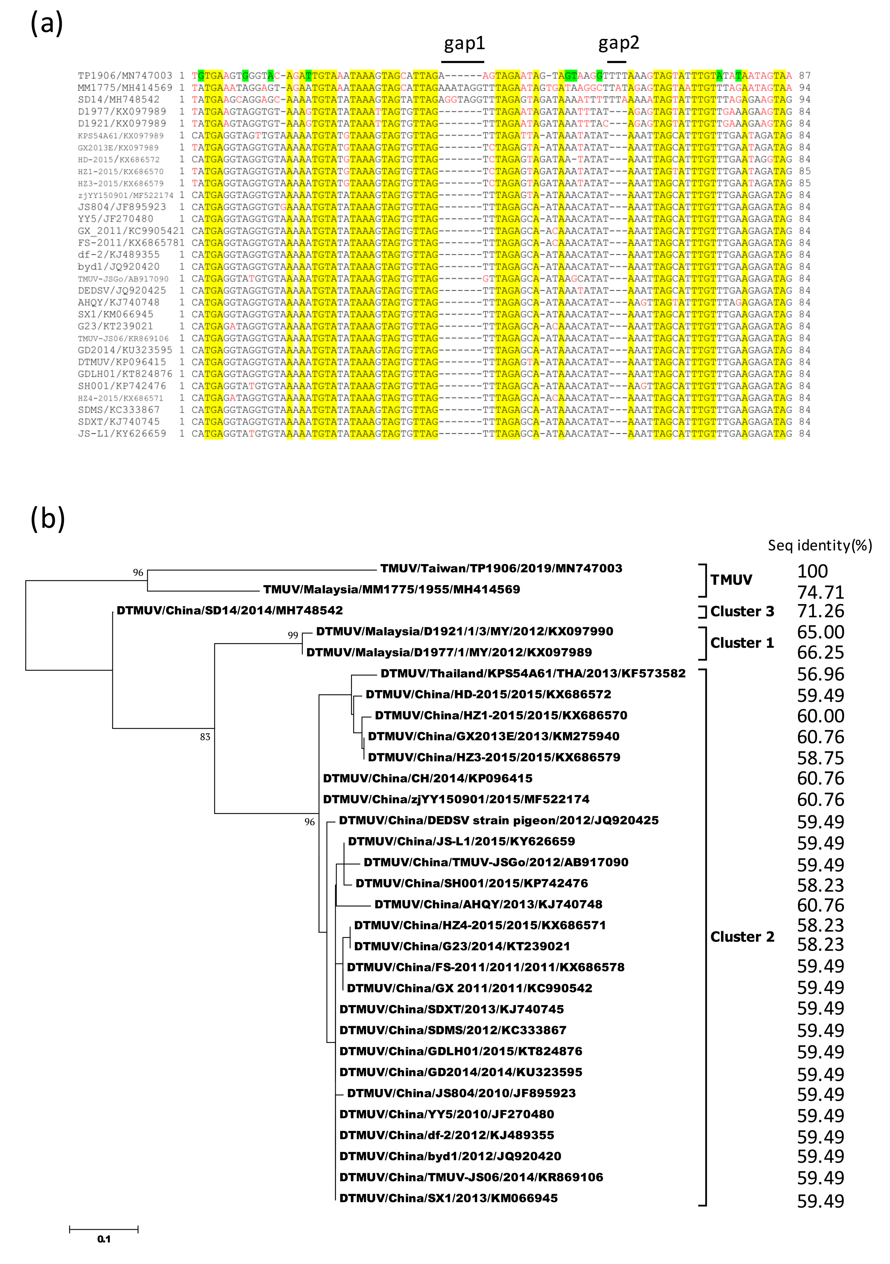 Viruses 12 00567 g005 Viruses 12 00567 g005