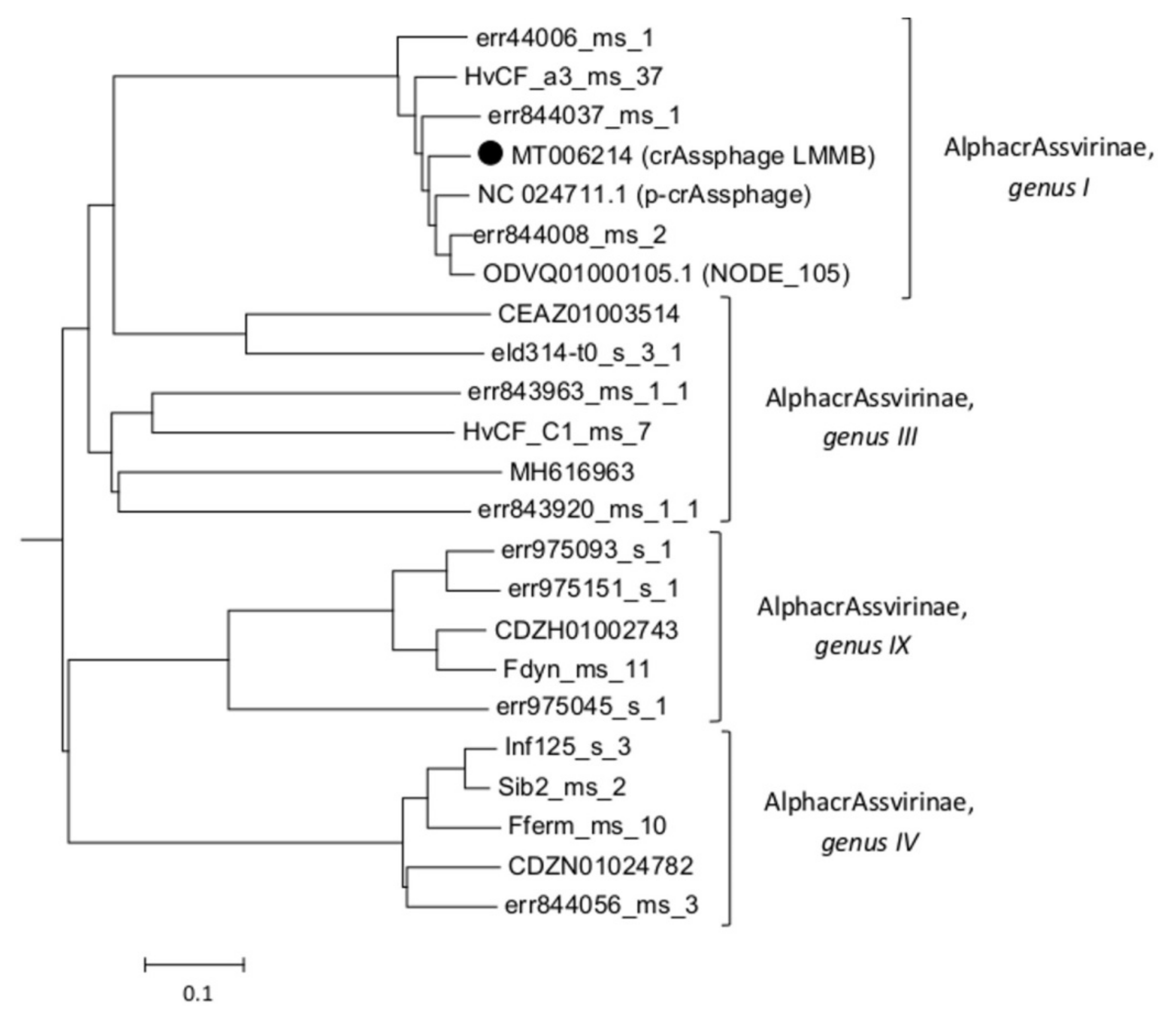 Viruses 12 00573 g002 Viruses 12 00573 g002