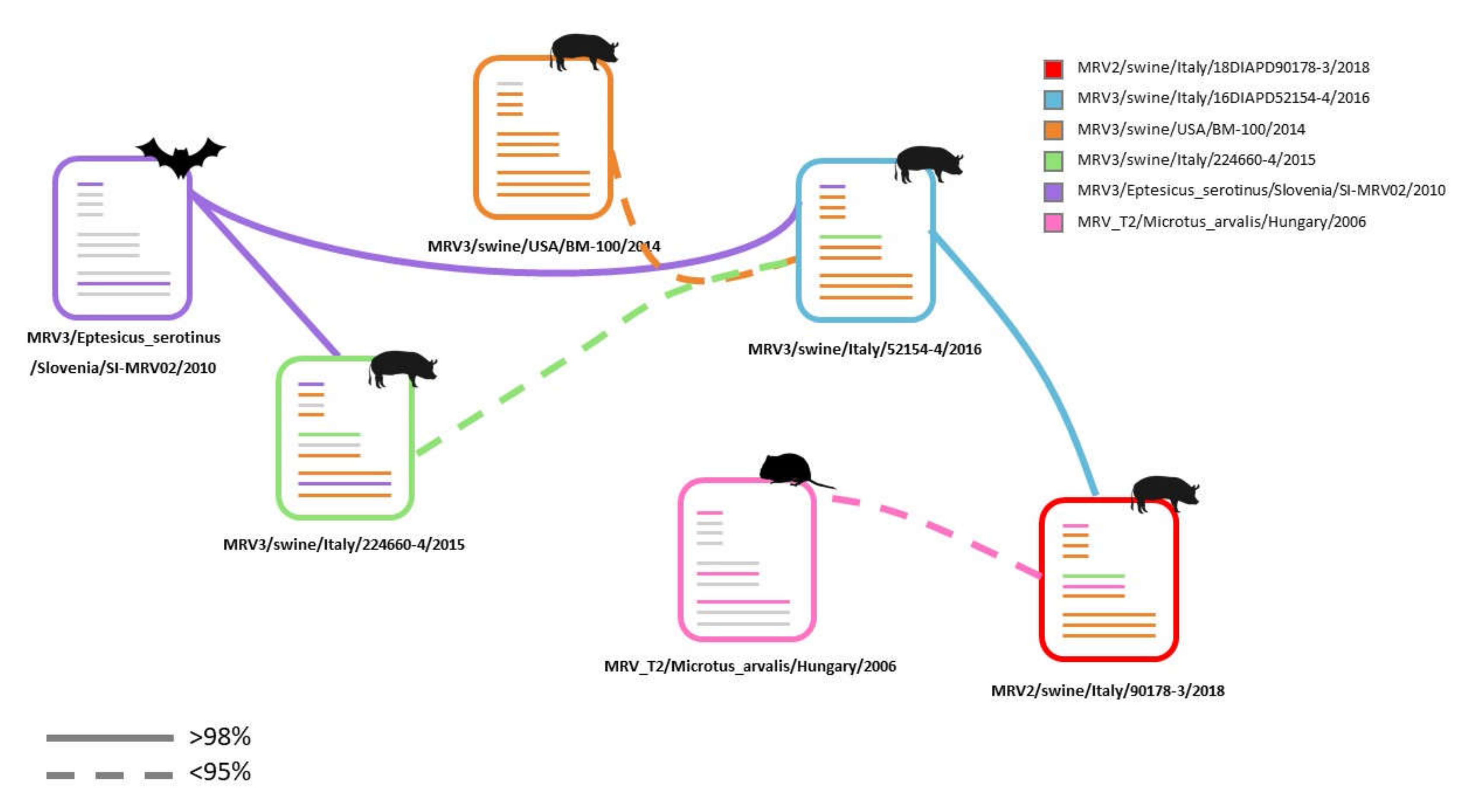 Viruses 12 00574 g005