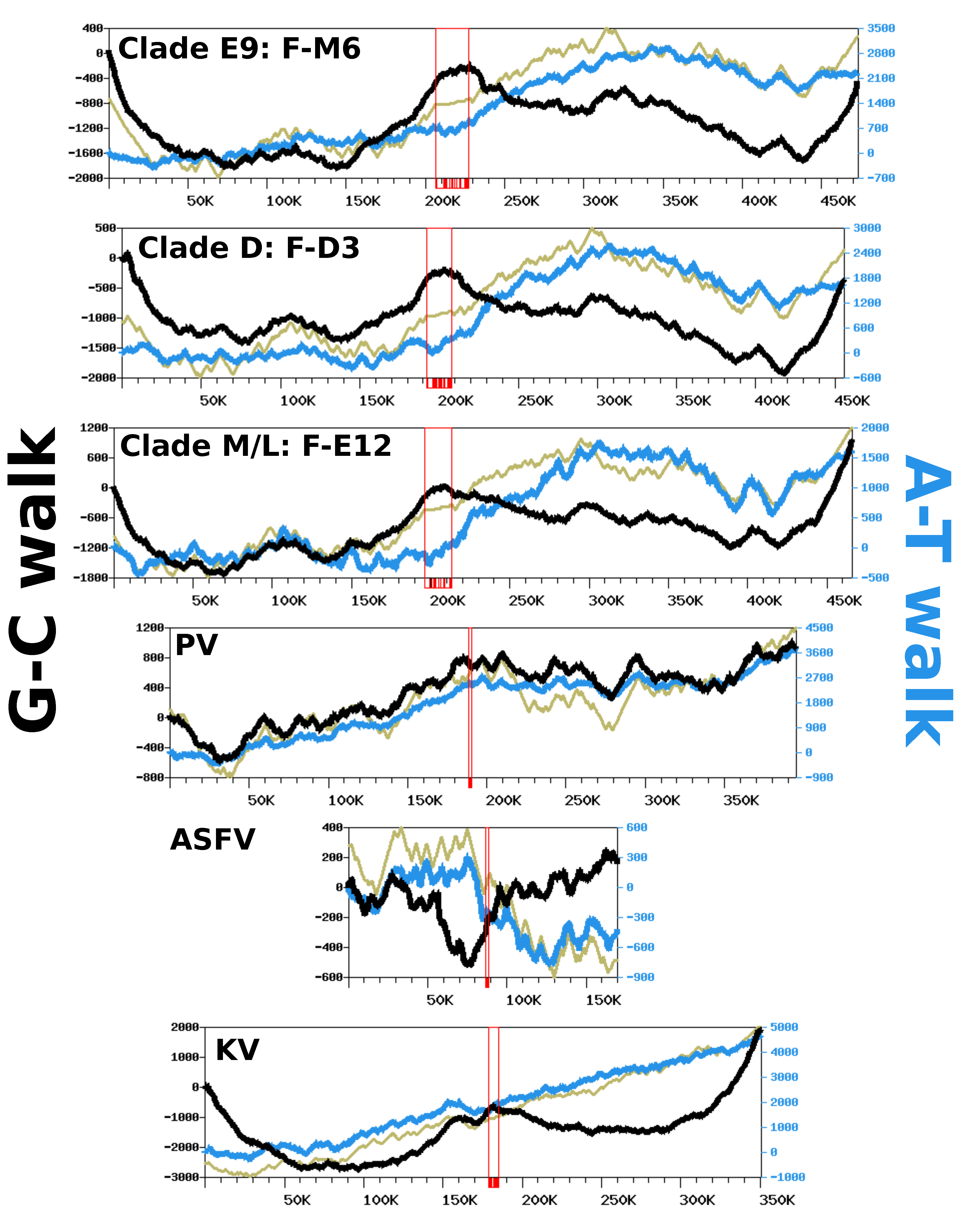 Viruses 12 00577 g005 Viruses 12 00577 g005