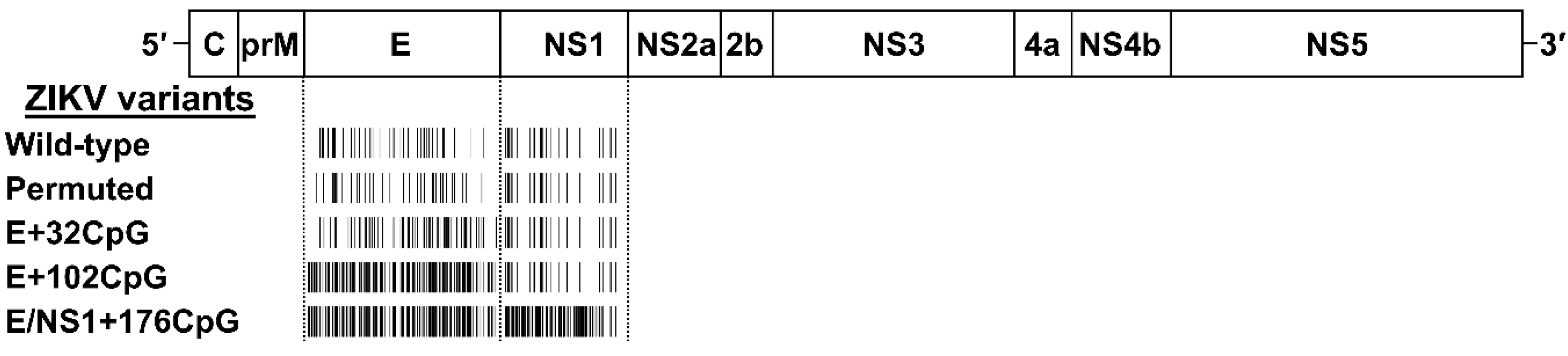 Viruses 12 00579 g001