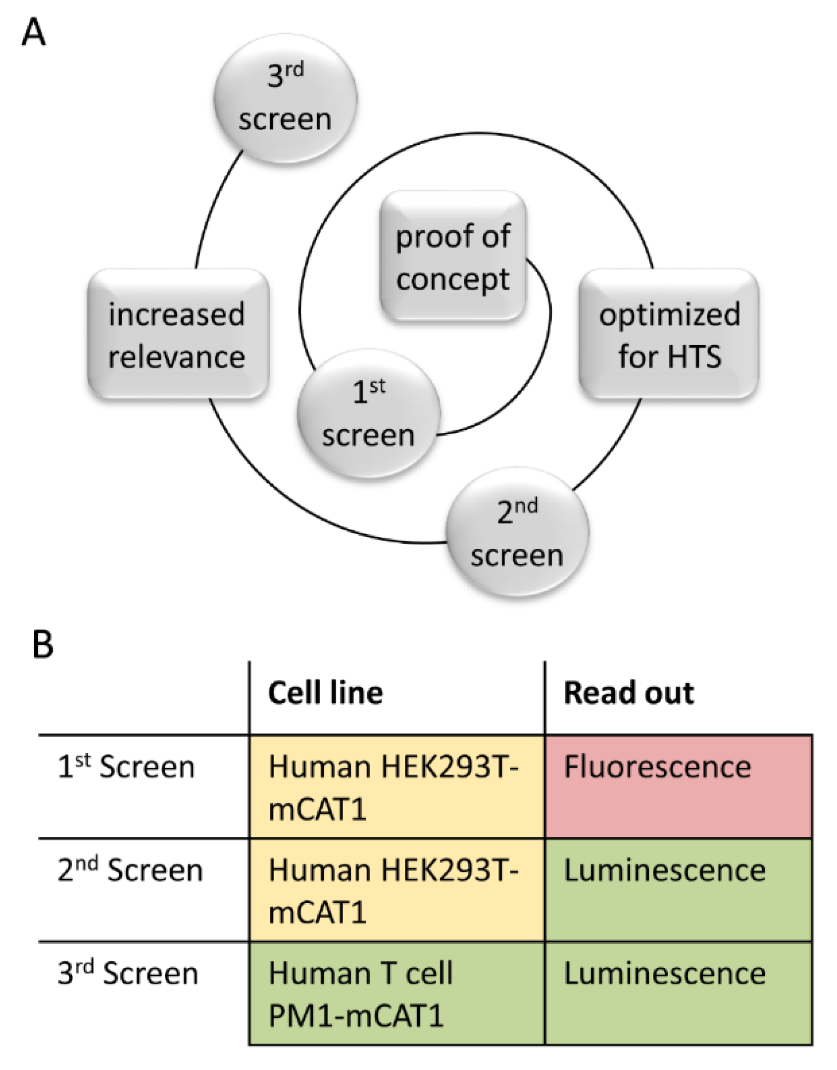 Viruses 12 00580 g004