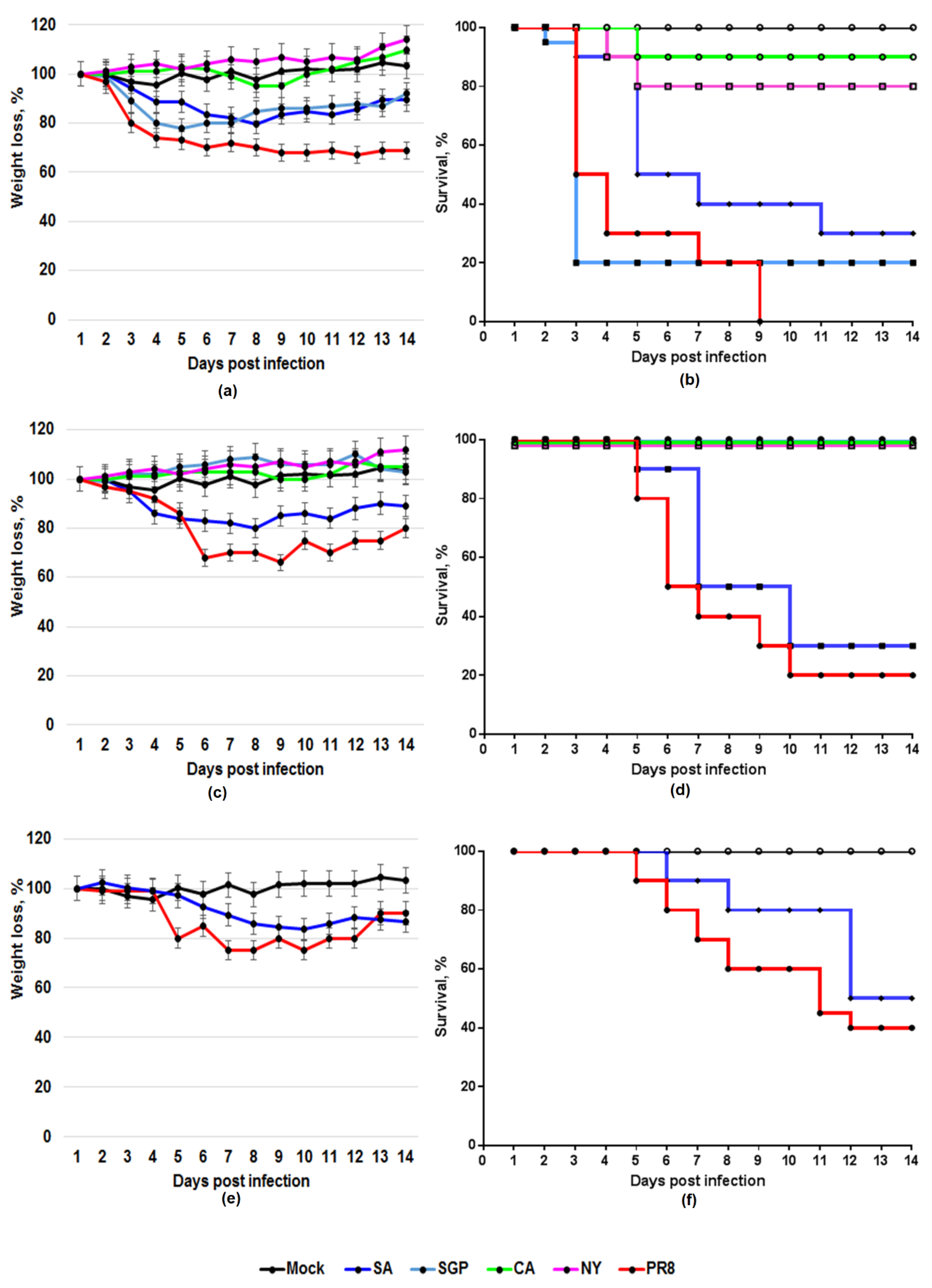Viruses 12 00590 g001