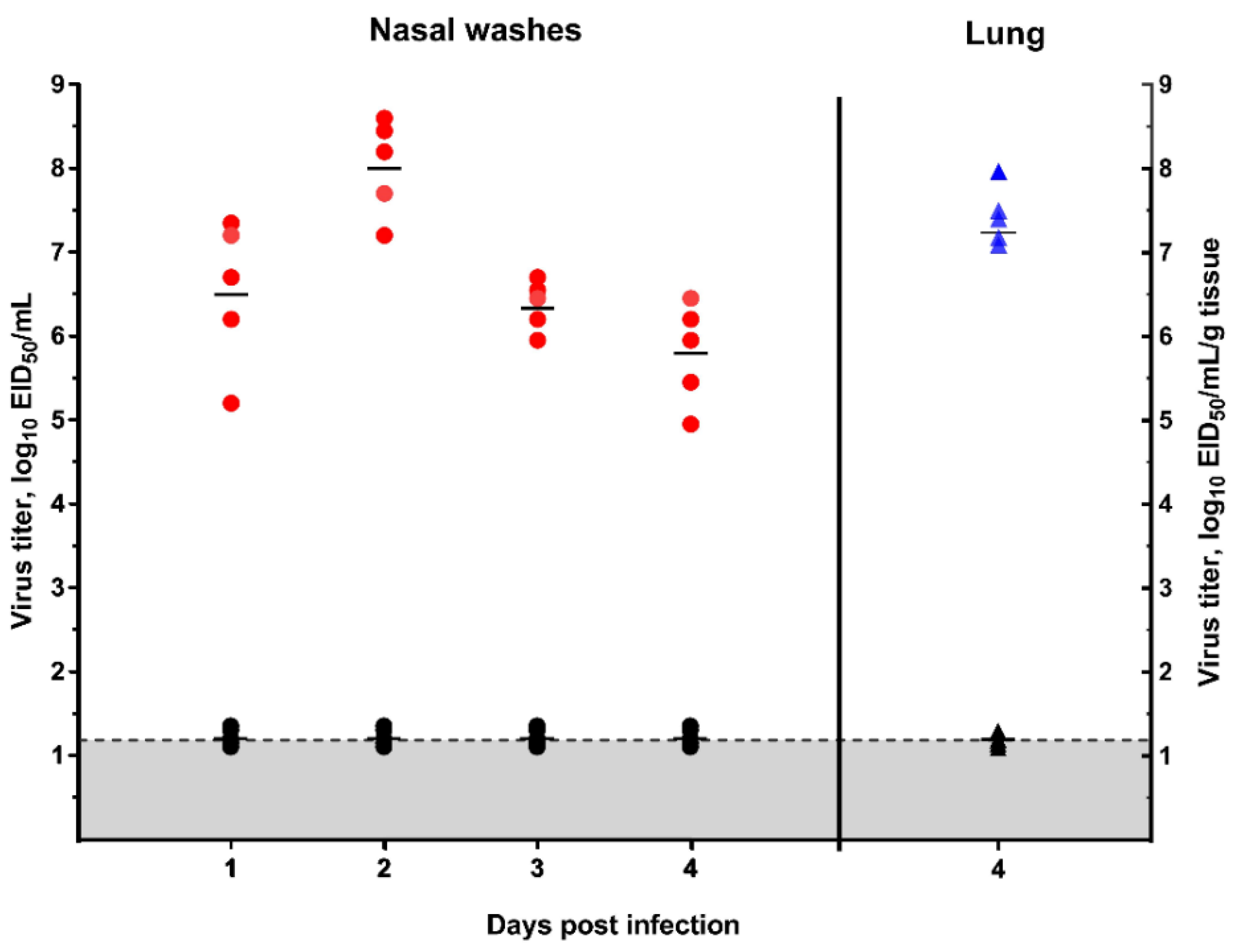 Viruses 12 00590 g005