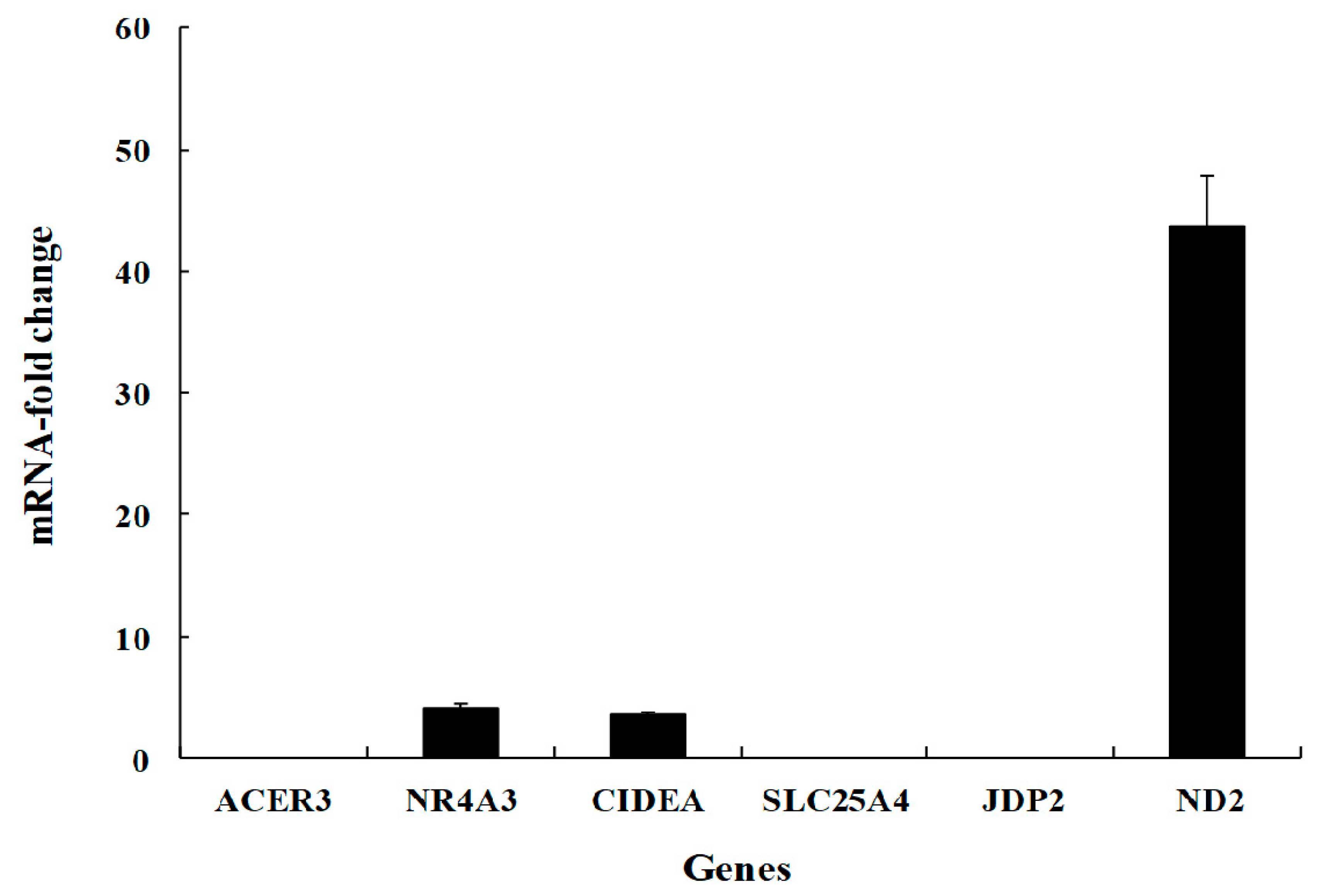 Viruses 12 00591 g005