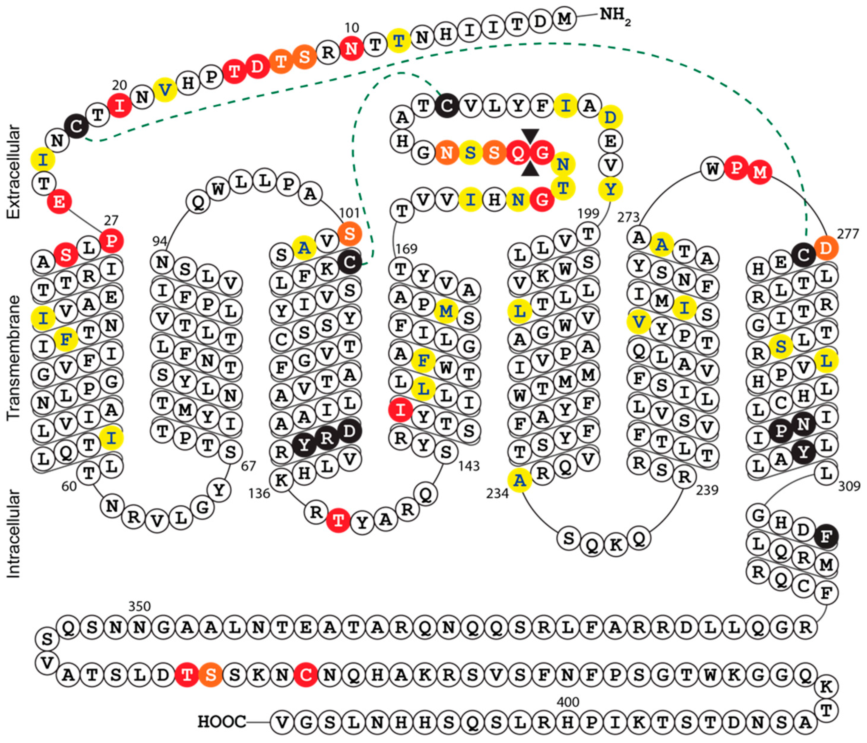 Viruses 12 00594 g004
