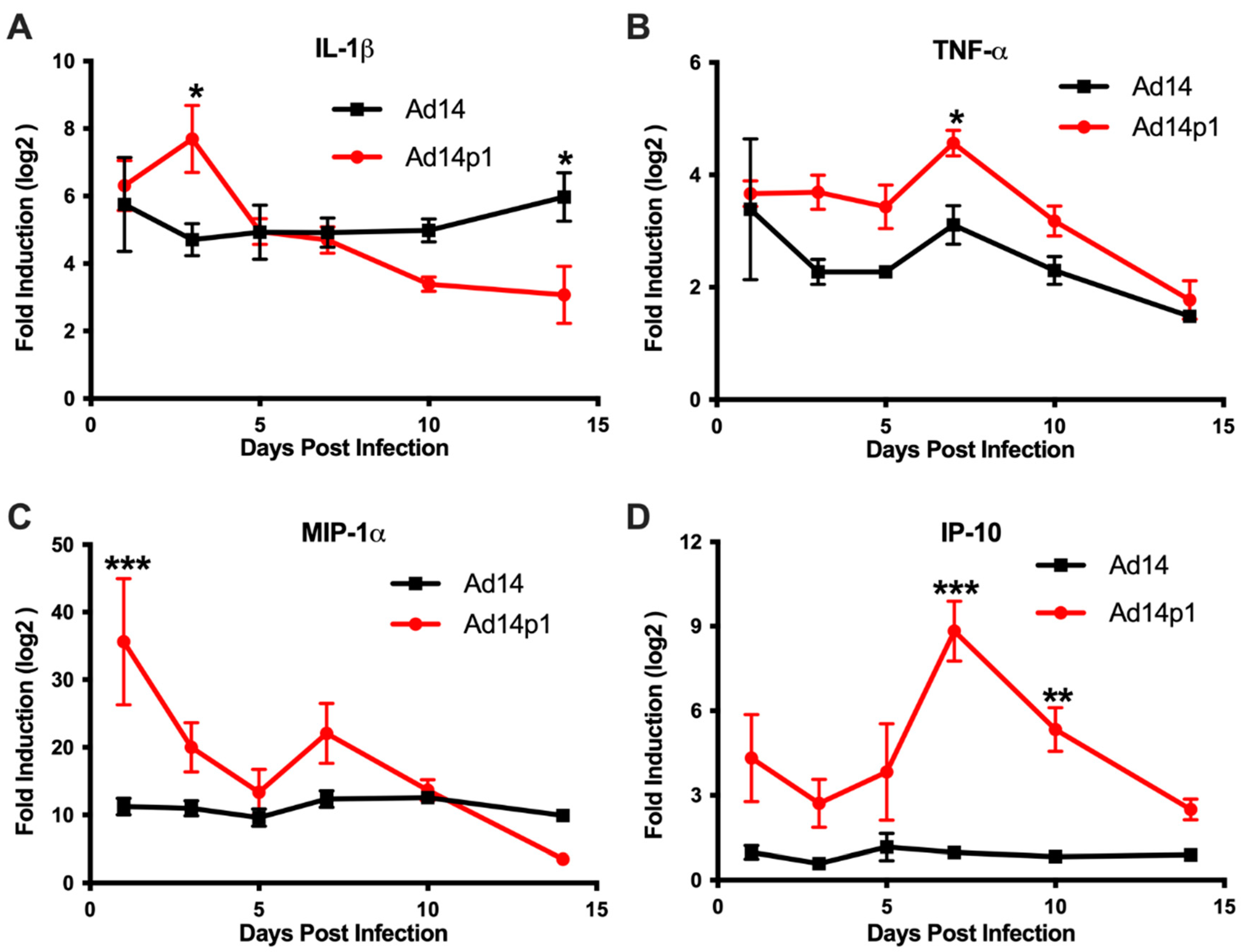 Viruses 12 00595 g007