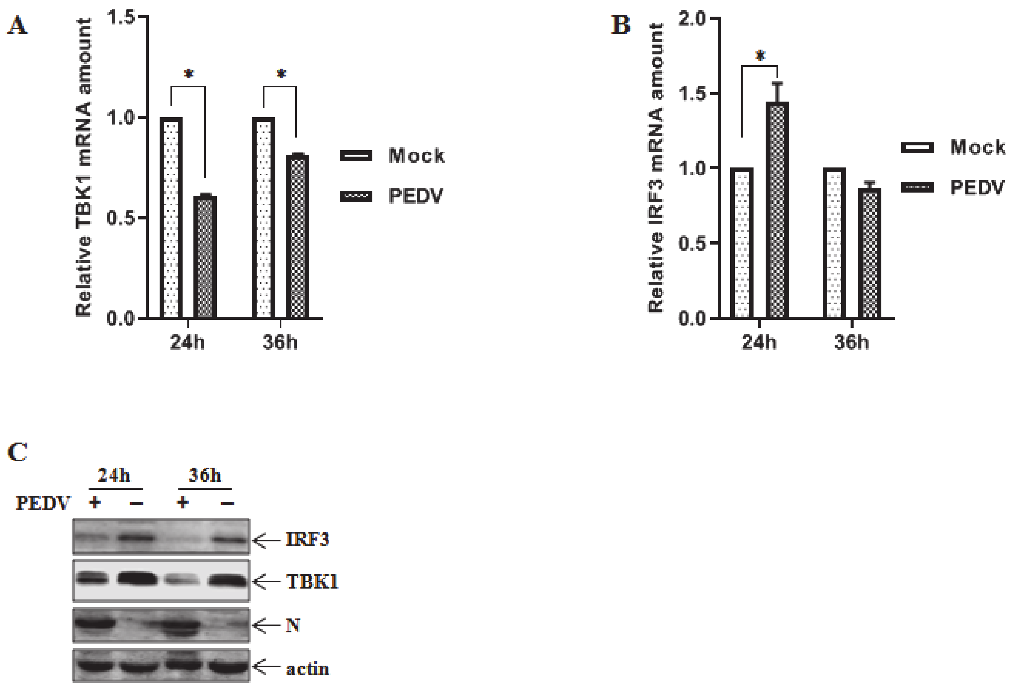 Viruses 12 00599 g001
