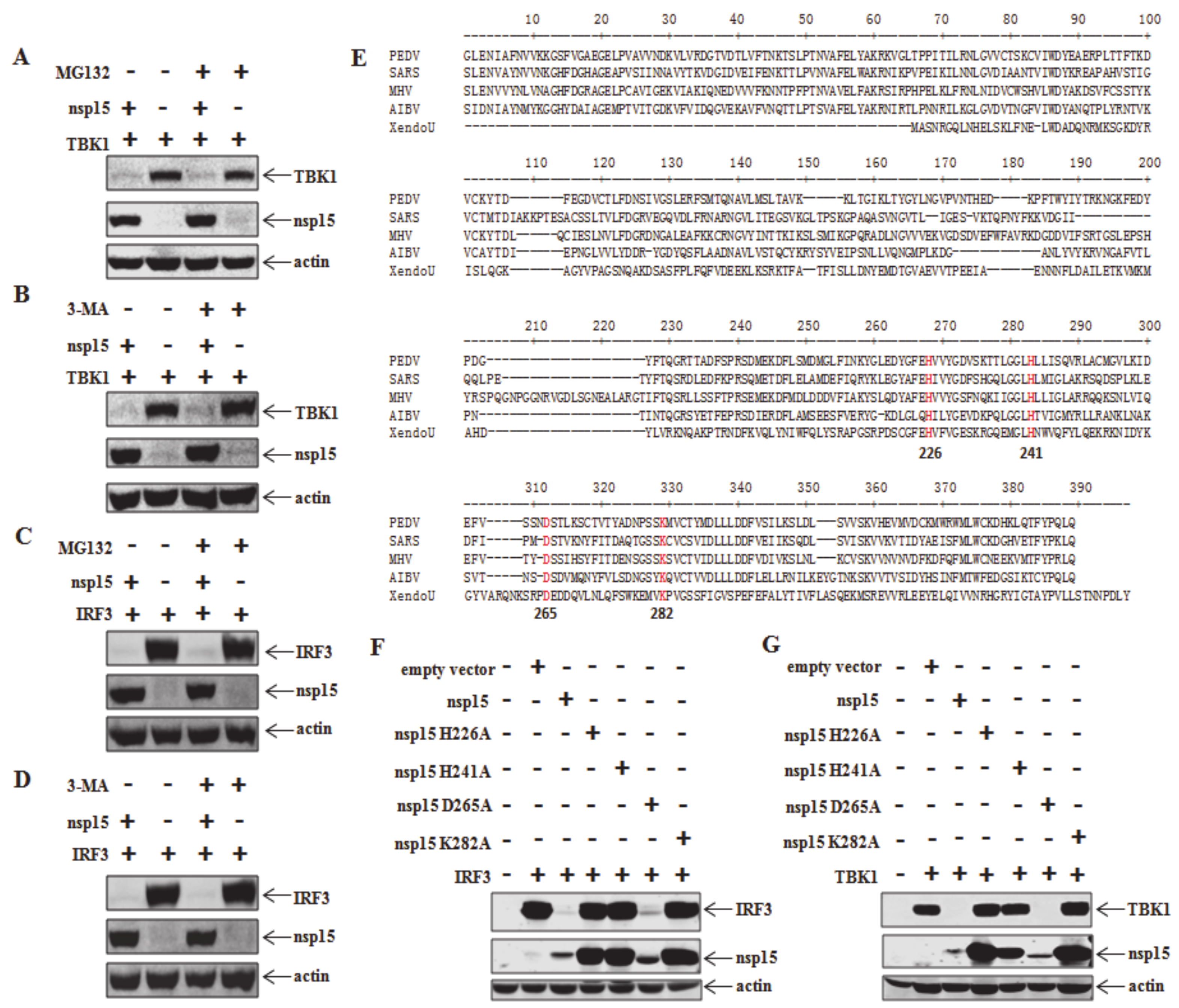Viruses 12 00599 g003