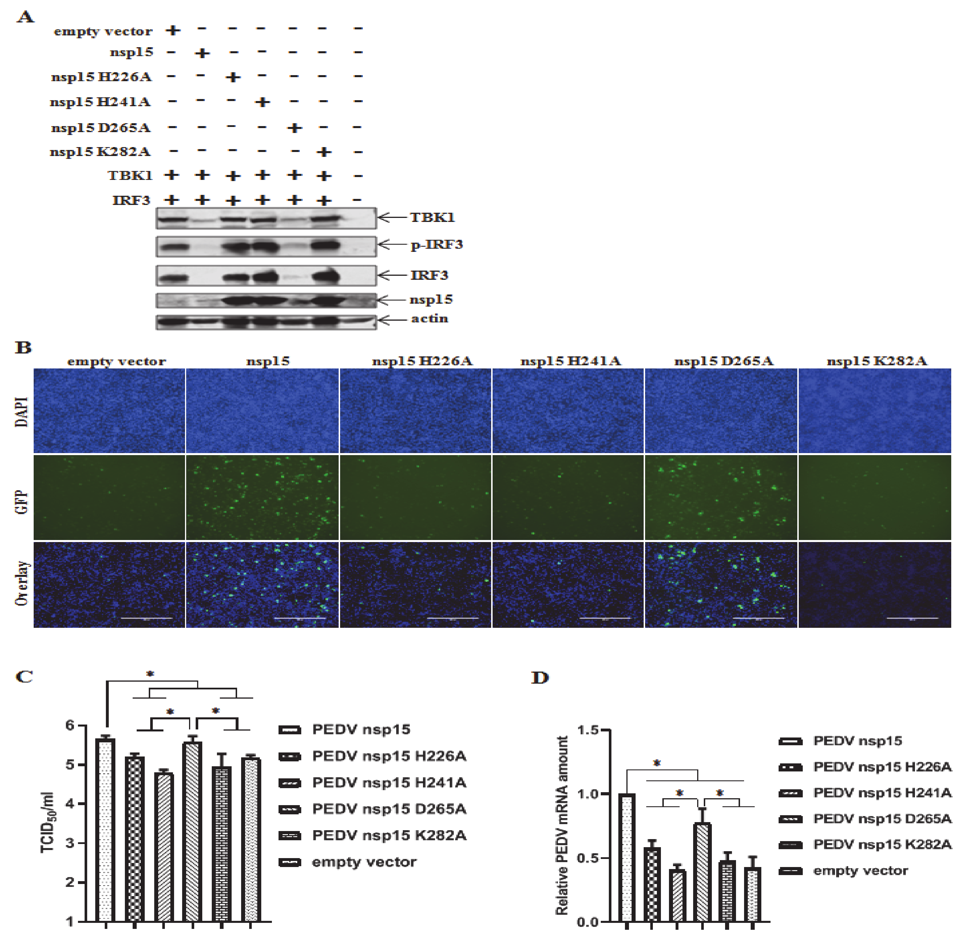 Viruses 12 00599 g006