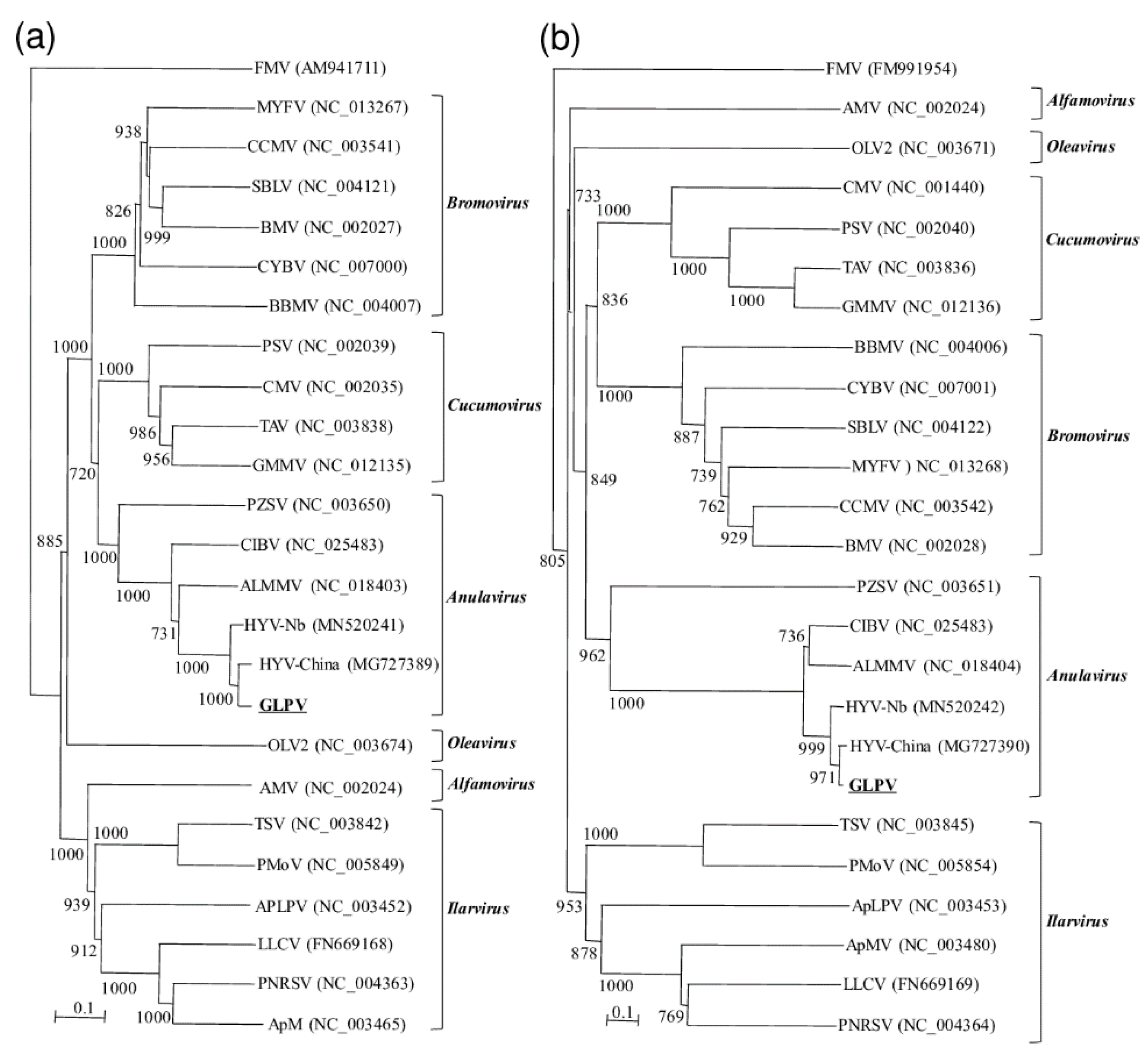 Viruses 12 00602 g003