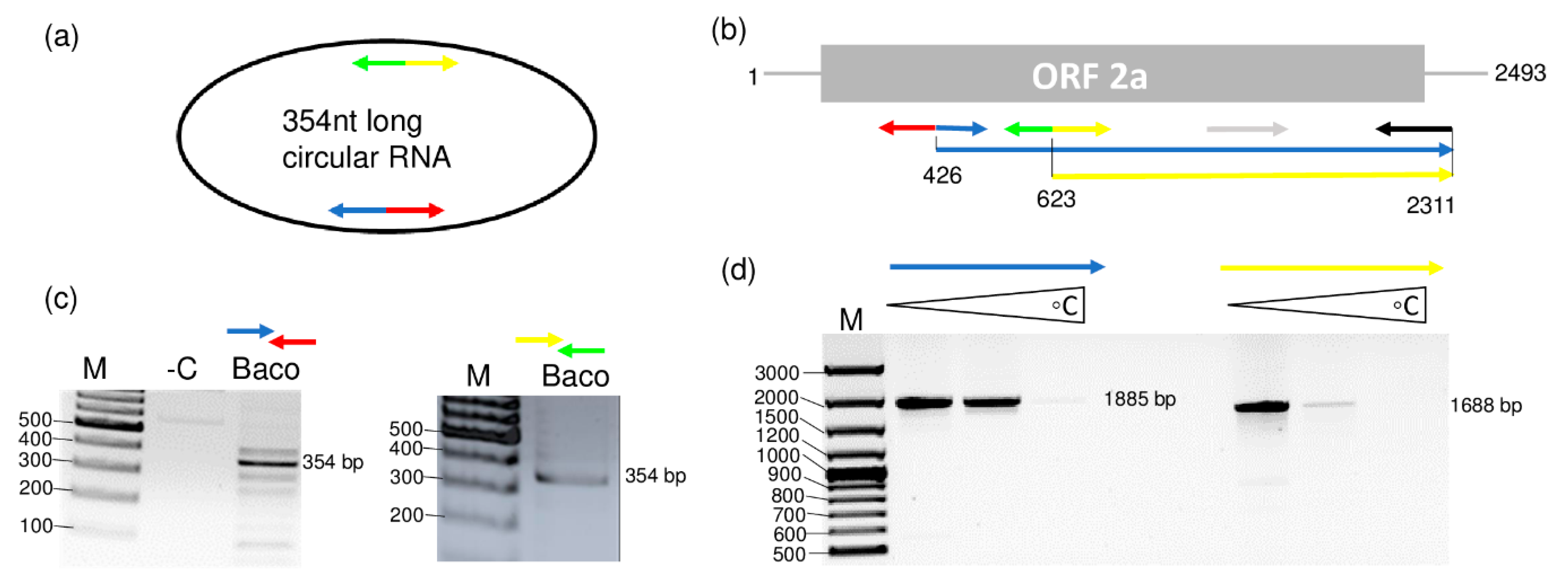 Viruses 12 00602 g005