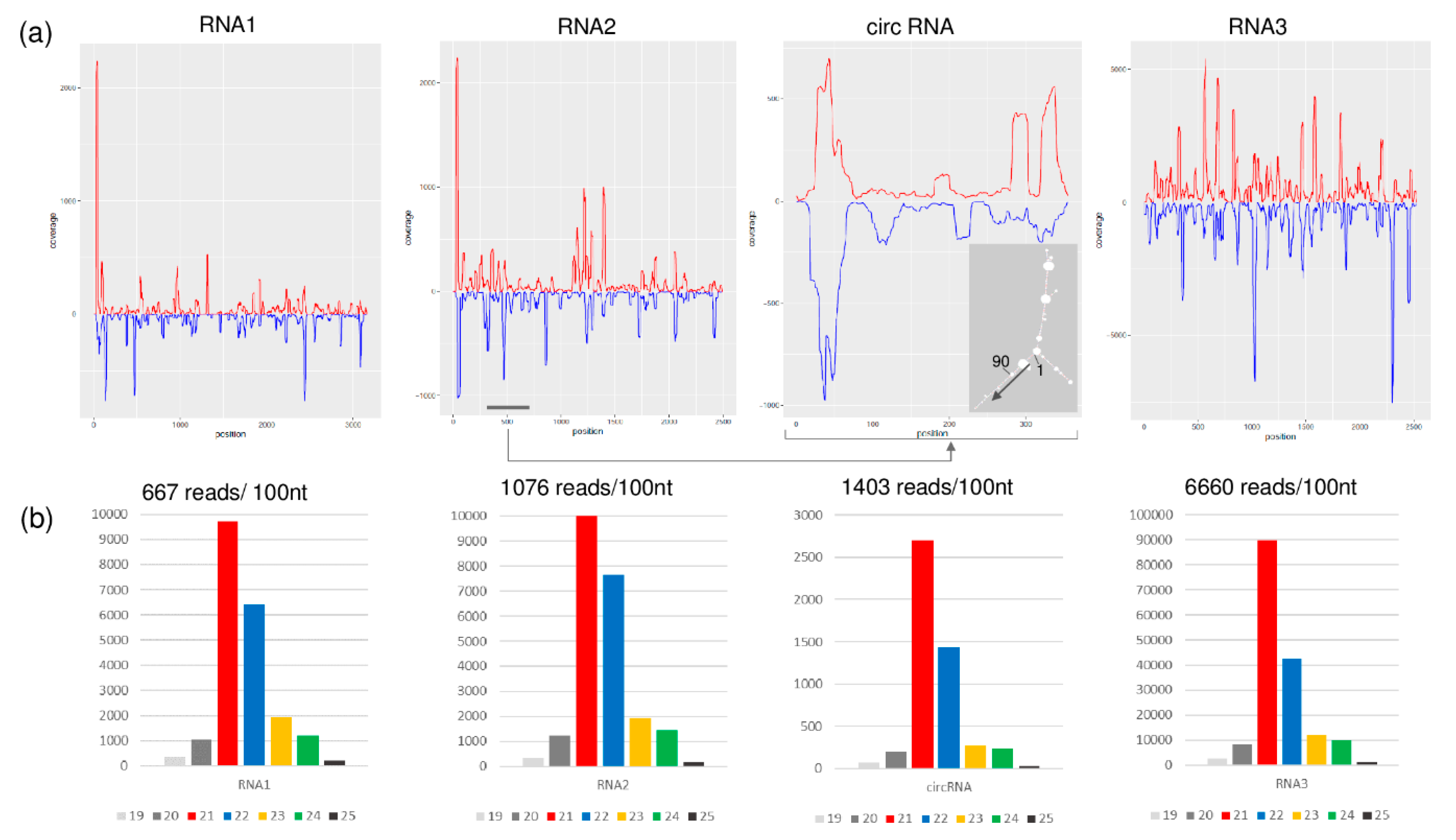 Viruses 12 00602 g006