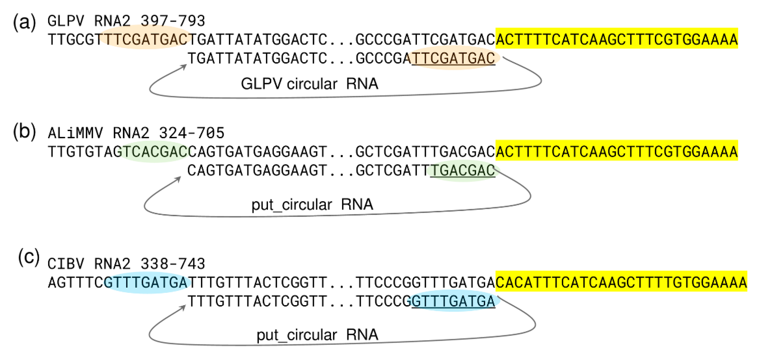 Viruses 12 00602 g007