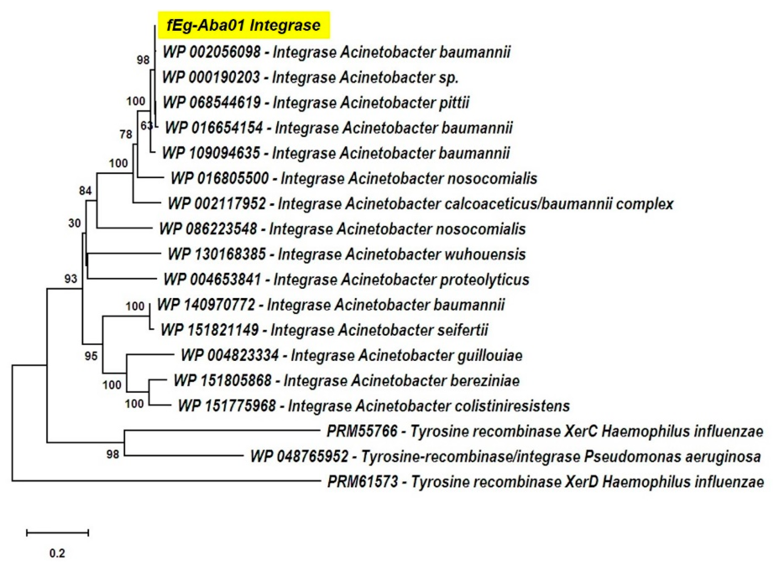 Viruses 12 00604 g005
