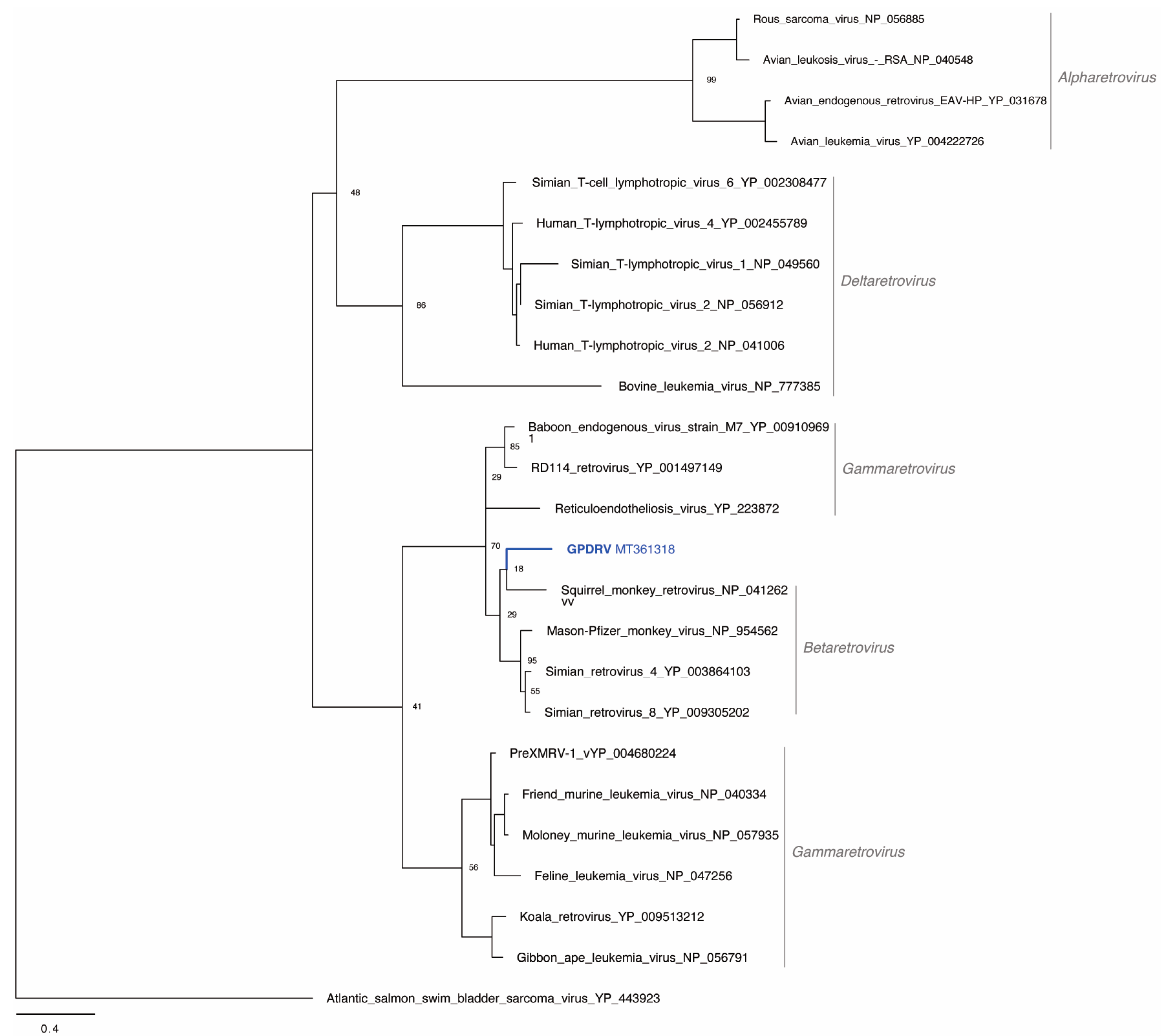 Viruses 12 00606 g007