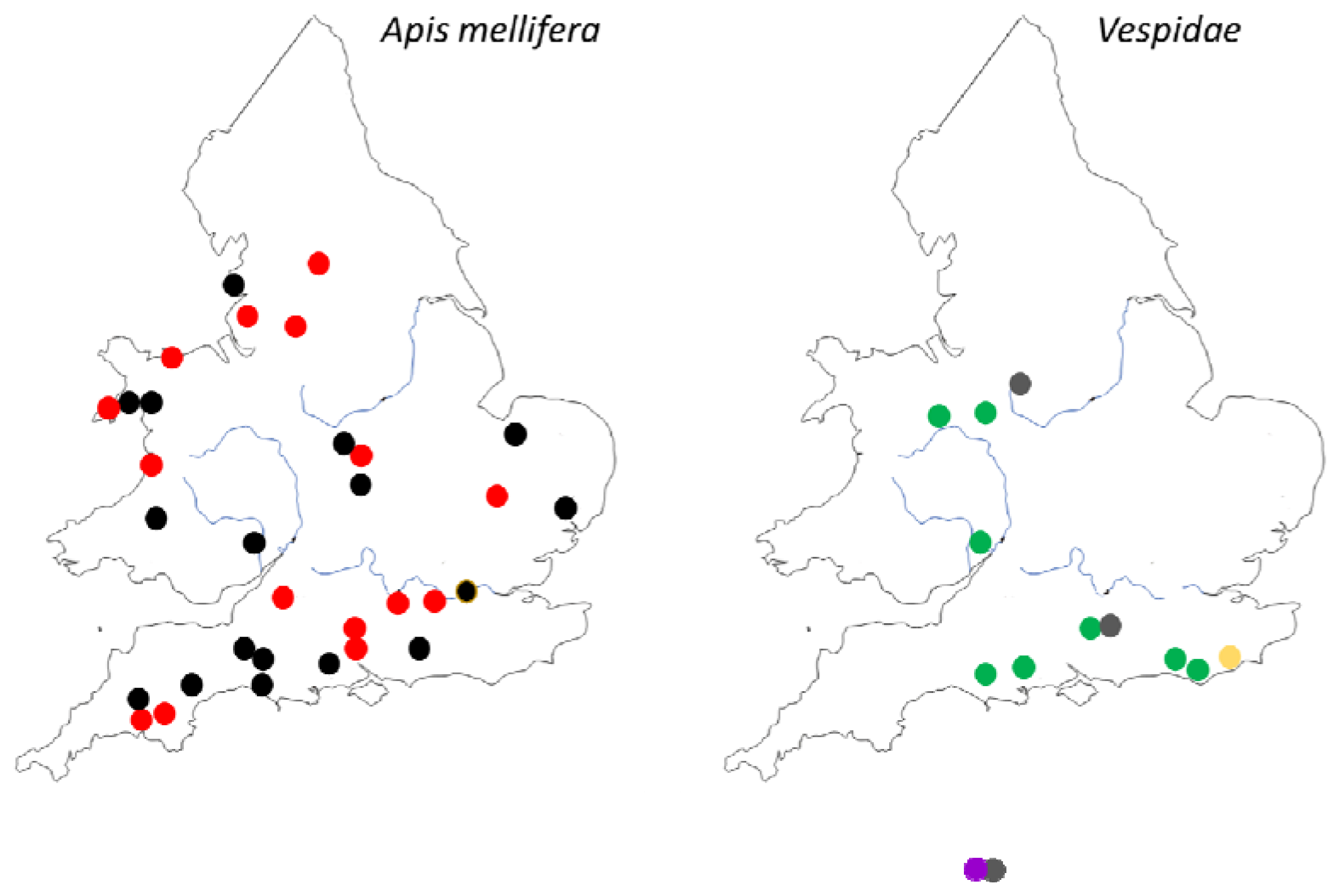 Viruses 12 00607 g001